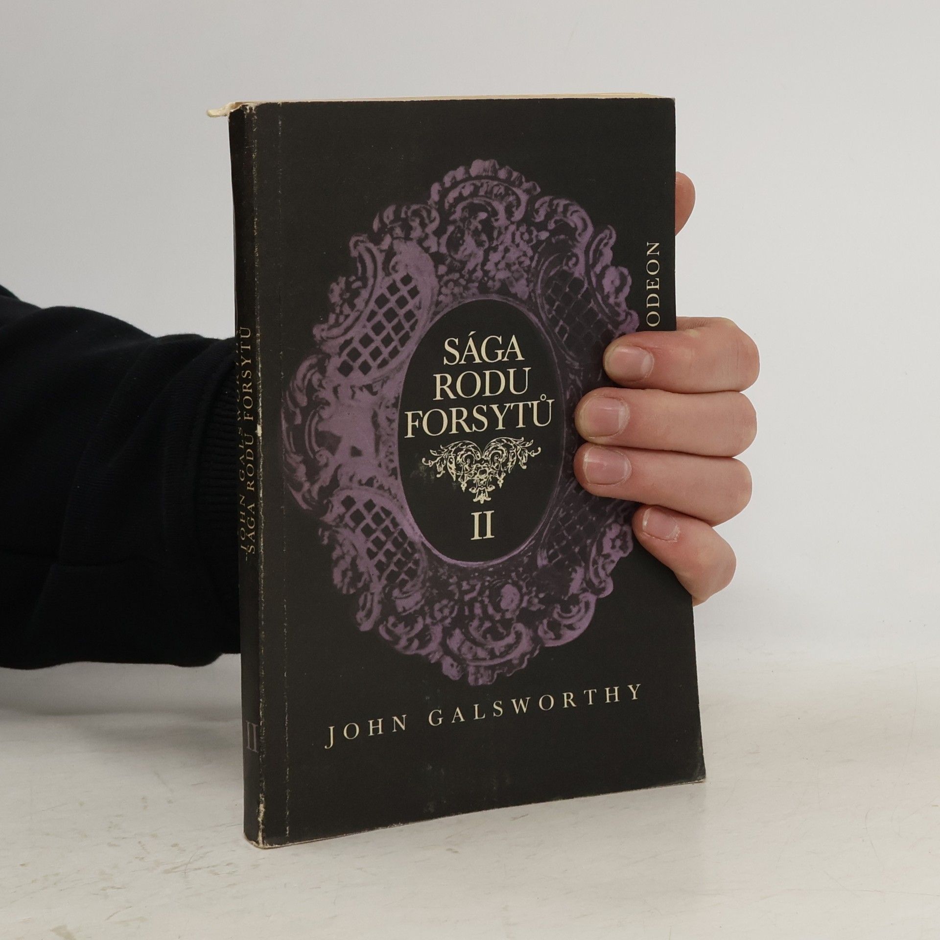 John Galsworthy Sága rodu Forsytů II. V pasti