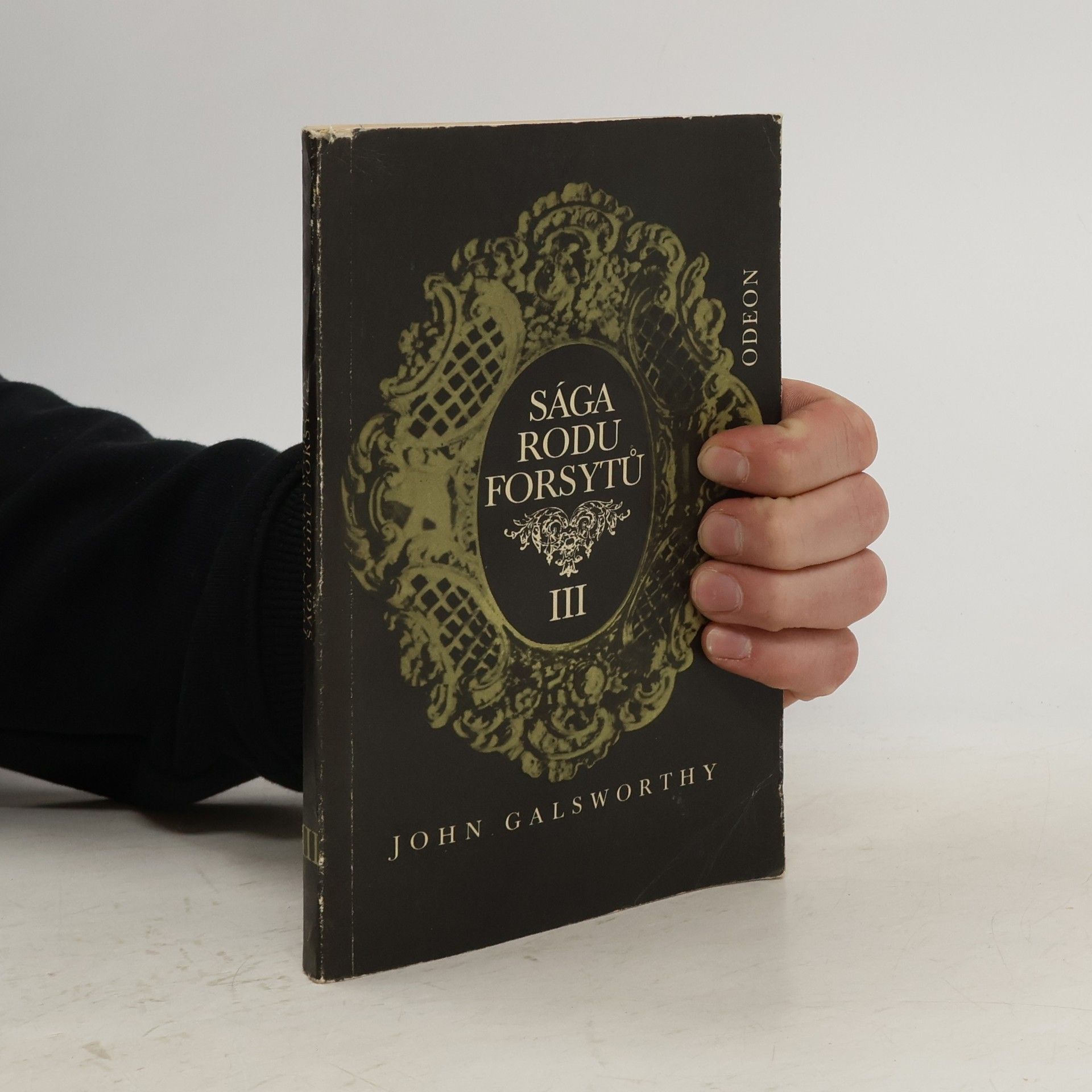 John Galsworthy Sága rodu Forsytů III.