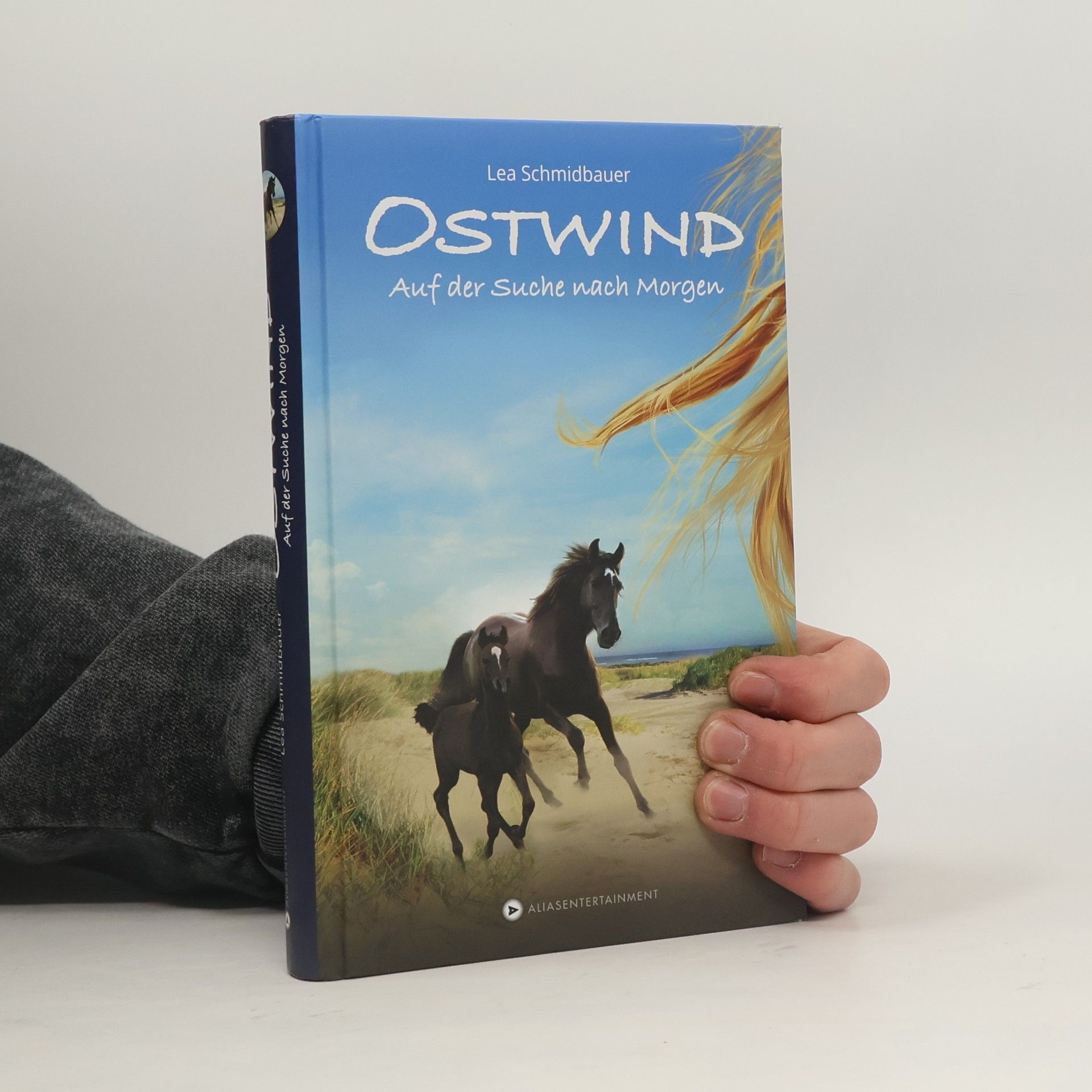 Ostwind - auf der Suche nach Morgen