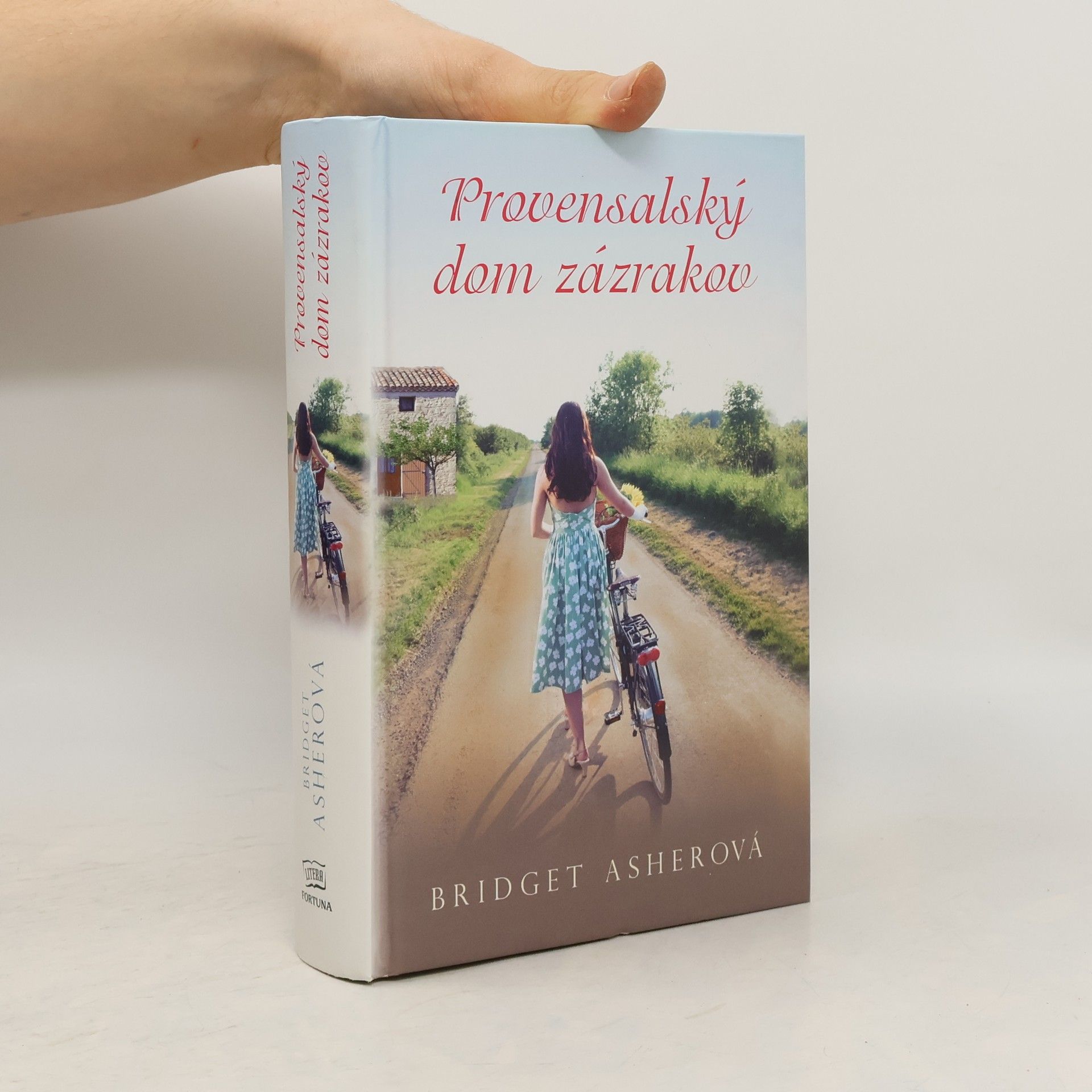 Bridget Asher Provensalský dom zázrakov