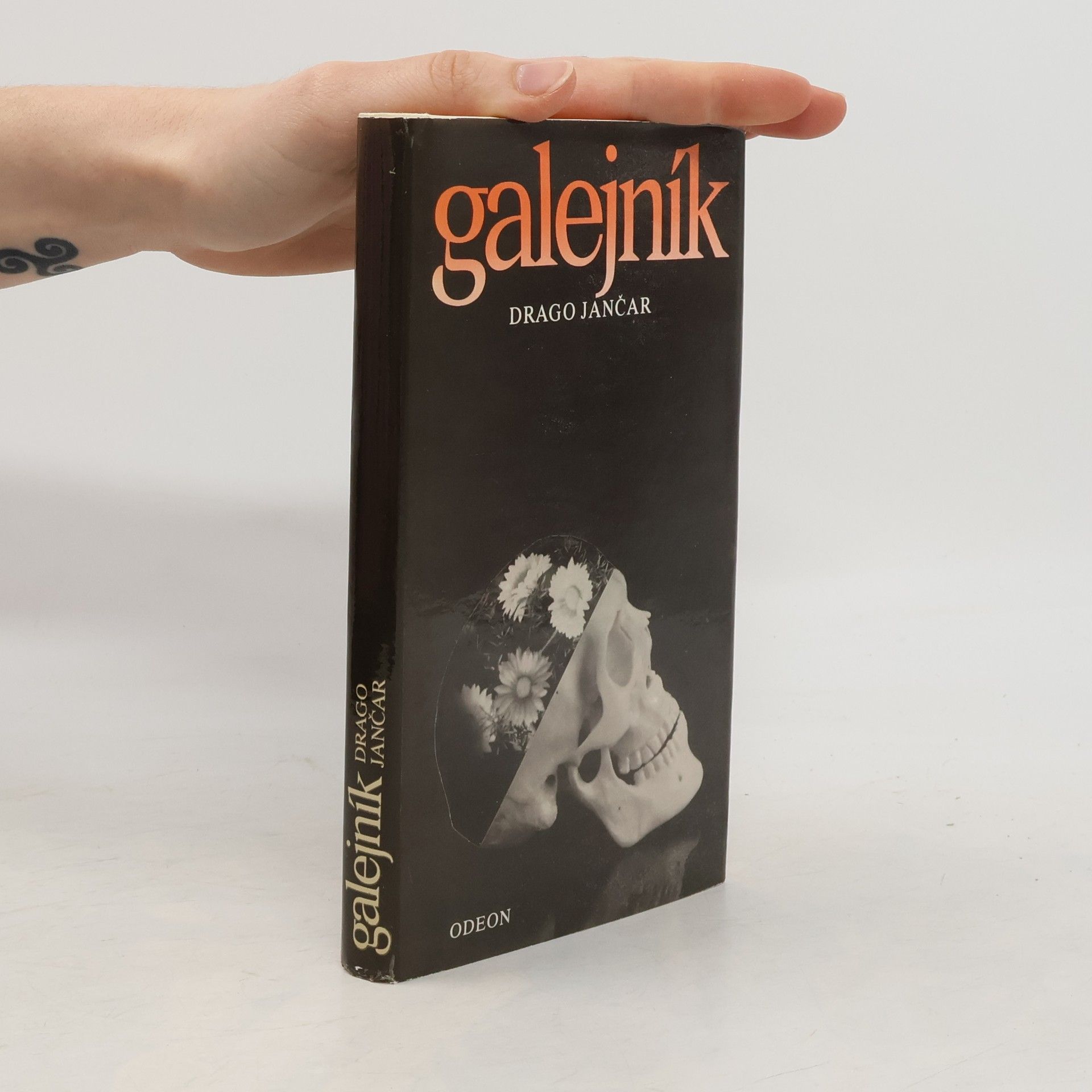 Drago Jančar Galejník