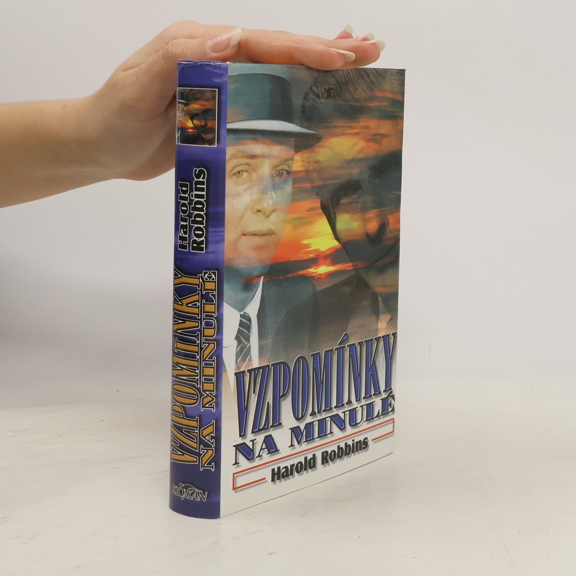 Harold Robbins Vzpomínky na minulé