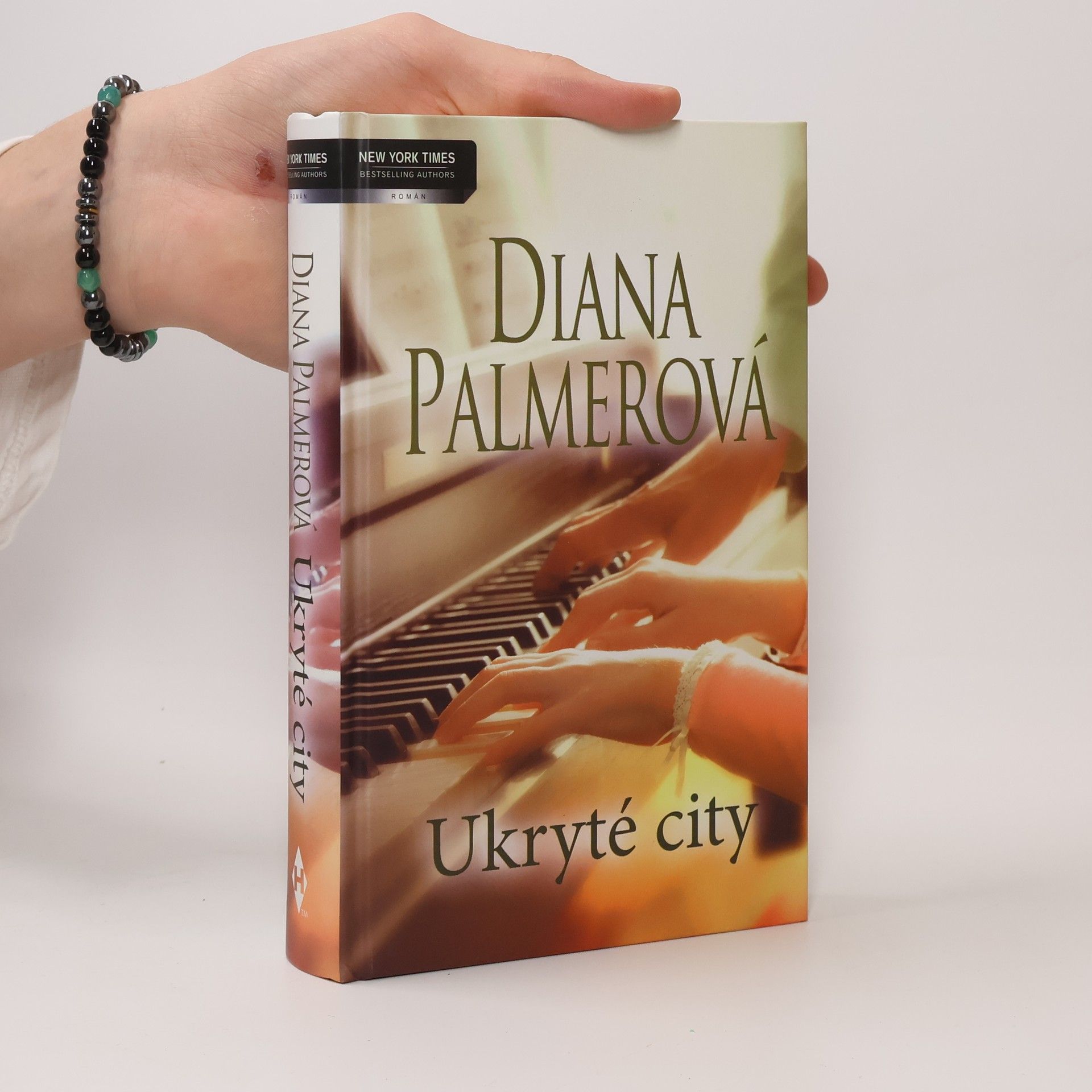 Diana Palmer Ukryté city