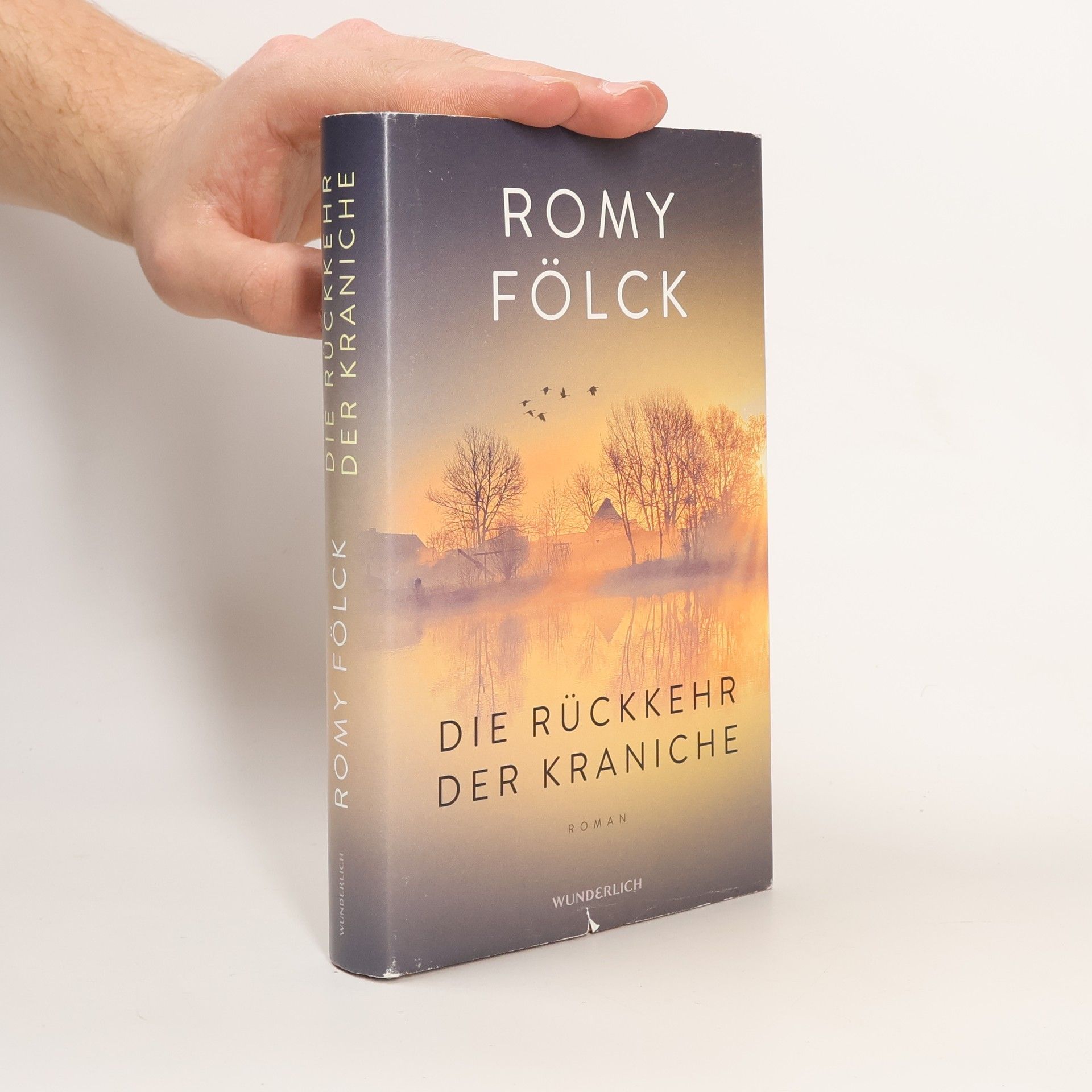Romy Fölck Die Rückkehr der Kraniche