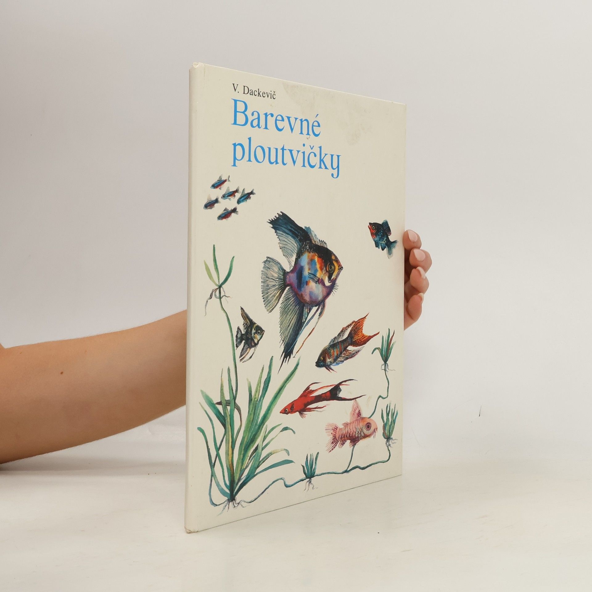 Viktor Dackevič Barevné ploutvičky