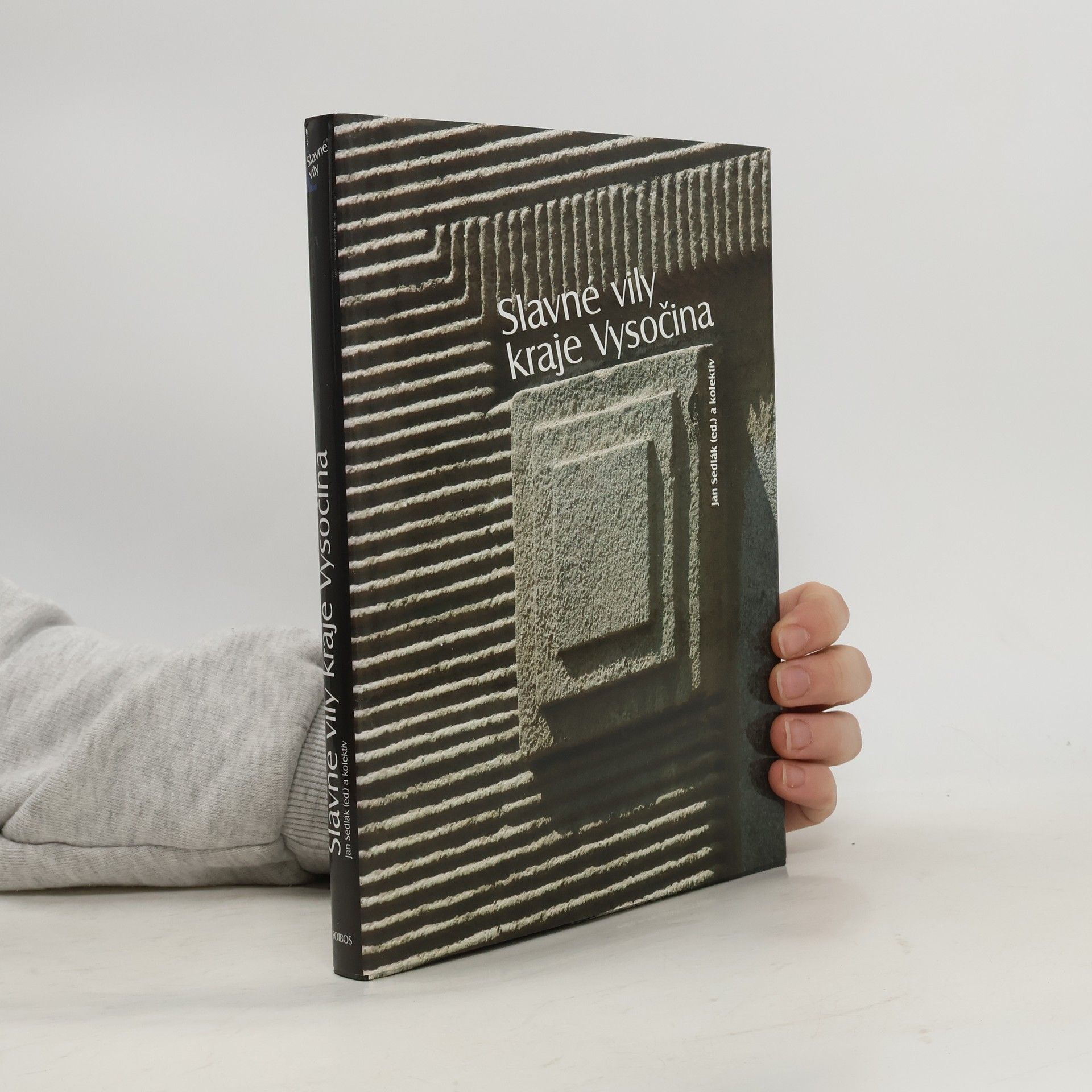 Petr Kratochvíl Slavné vily kraje Vysočina