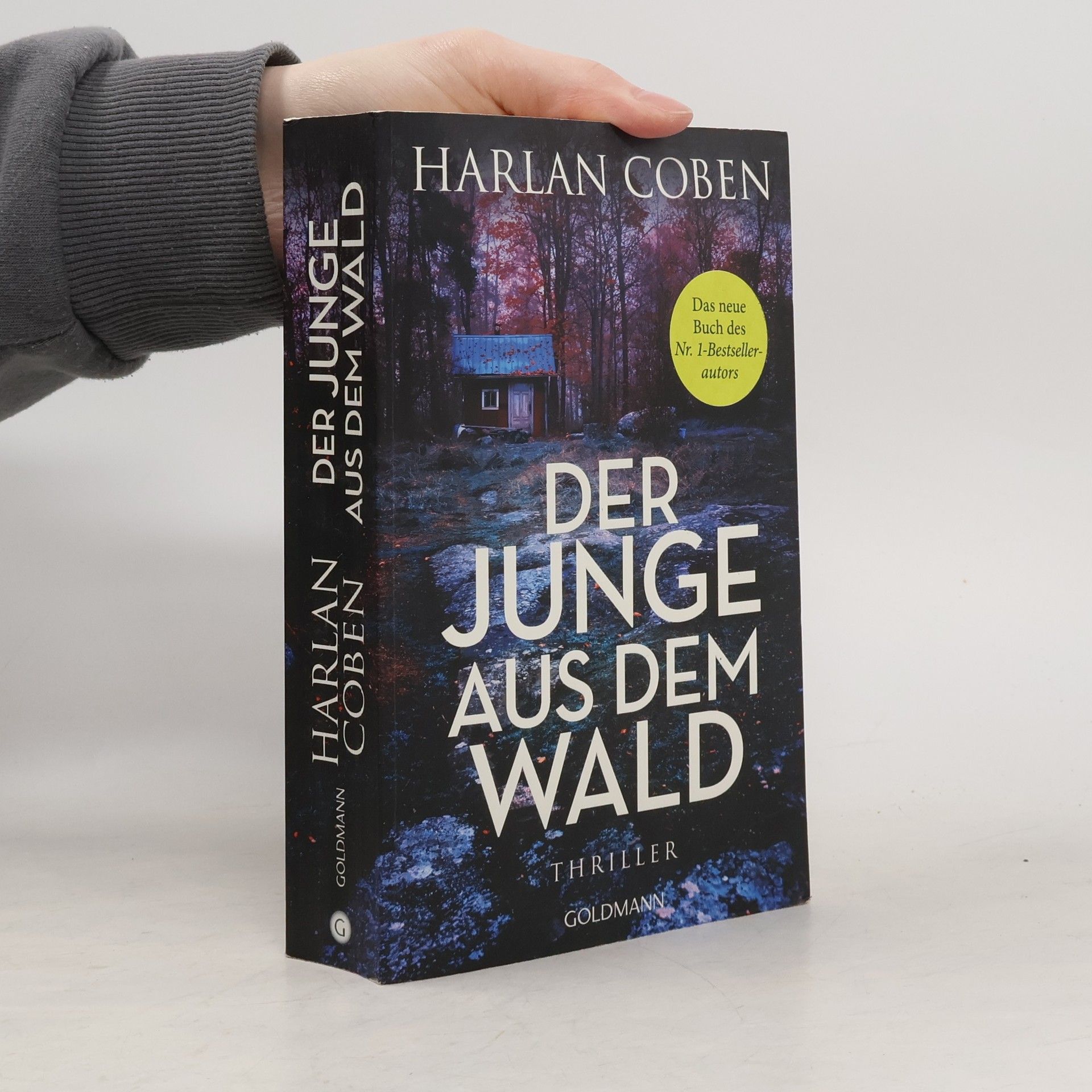 Harlan Coben Der Junge aus dem Wald