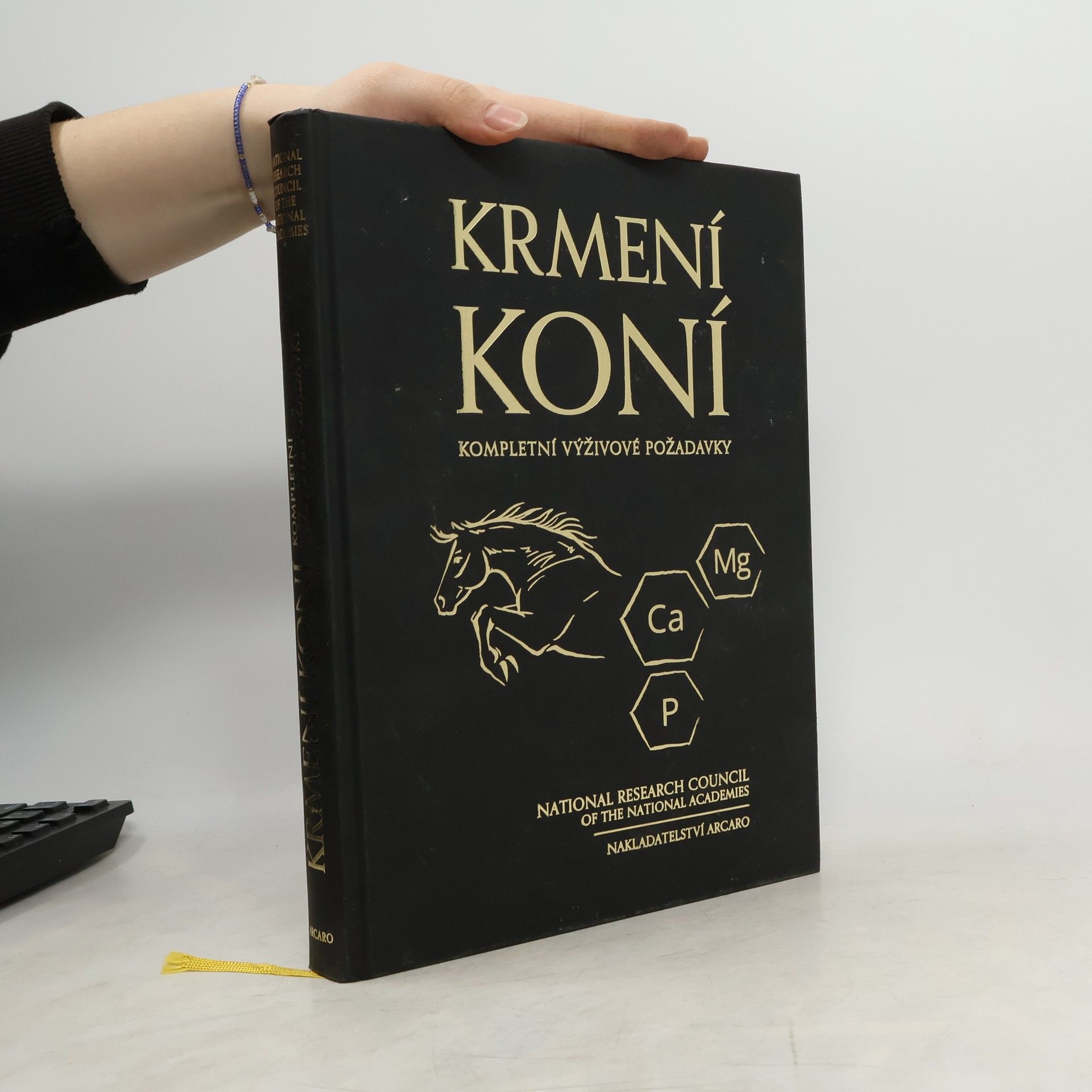 Krmení koní