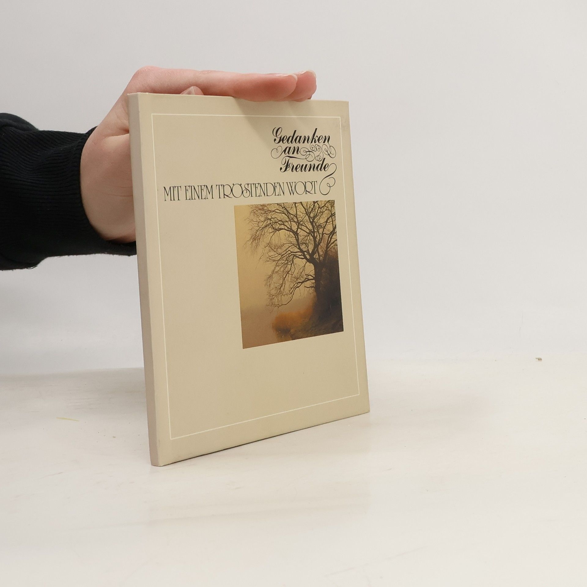 Kolektiv autorů Gedanken an Freunde. Mit einem tröstenden Wort