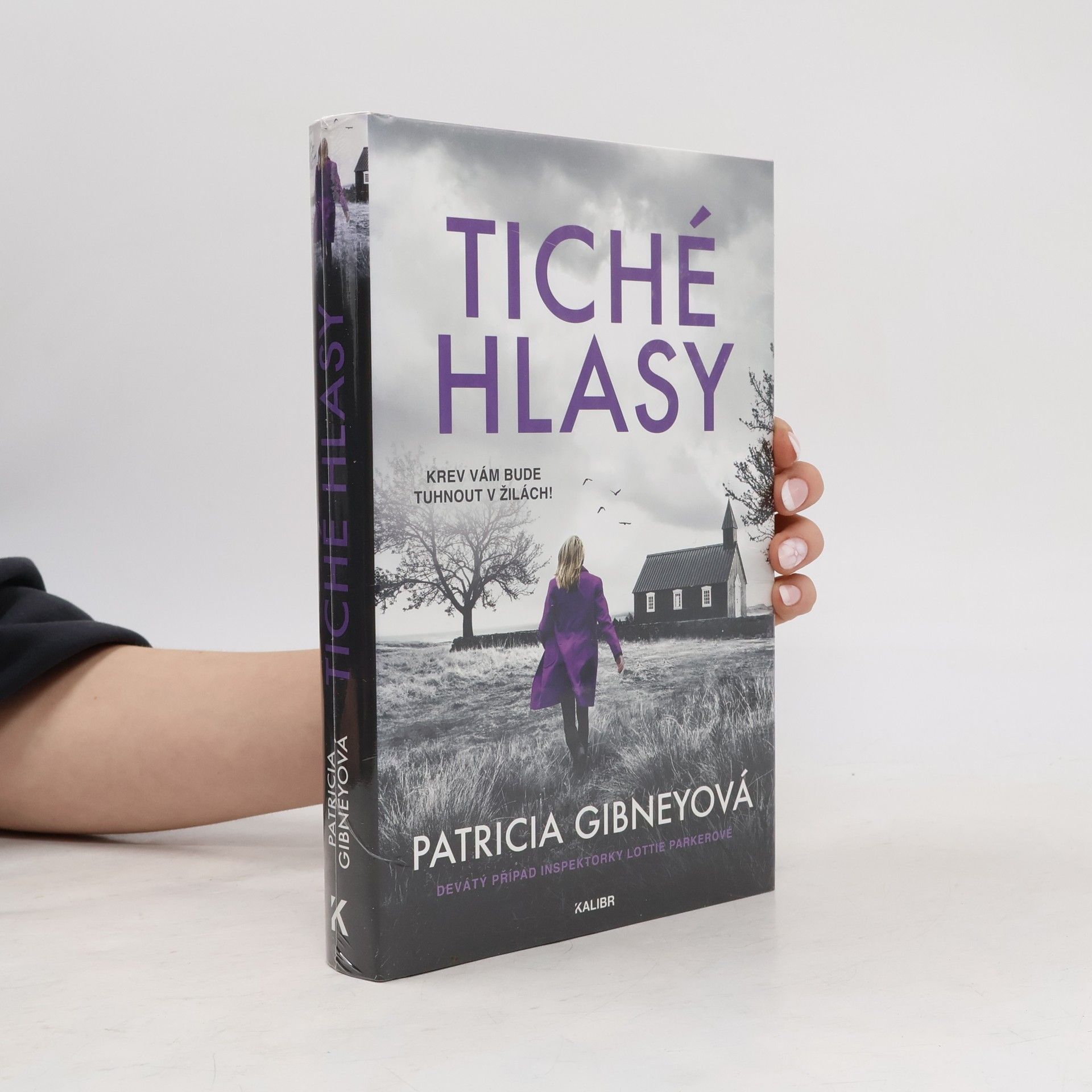 Drahomíra Michnová Tiché hlasy