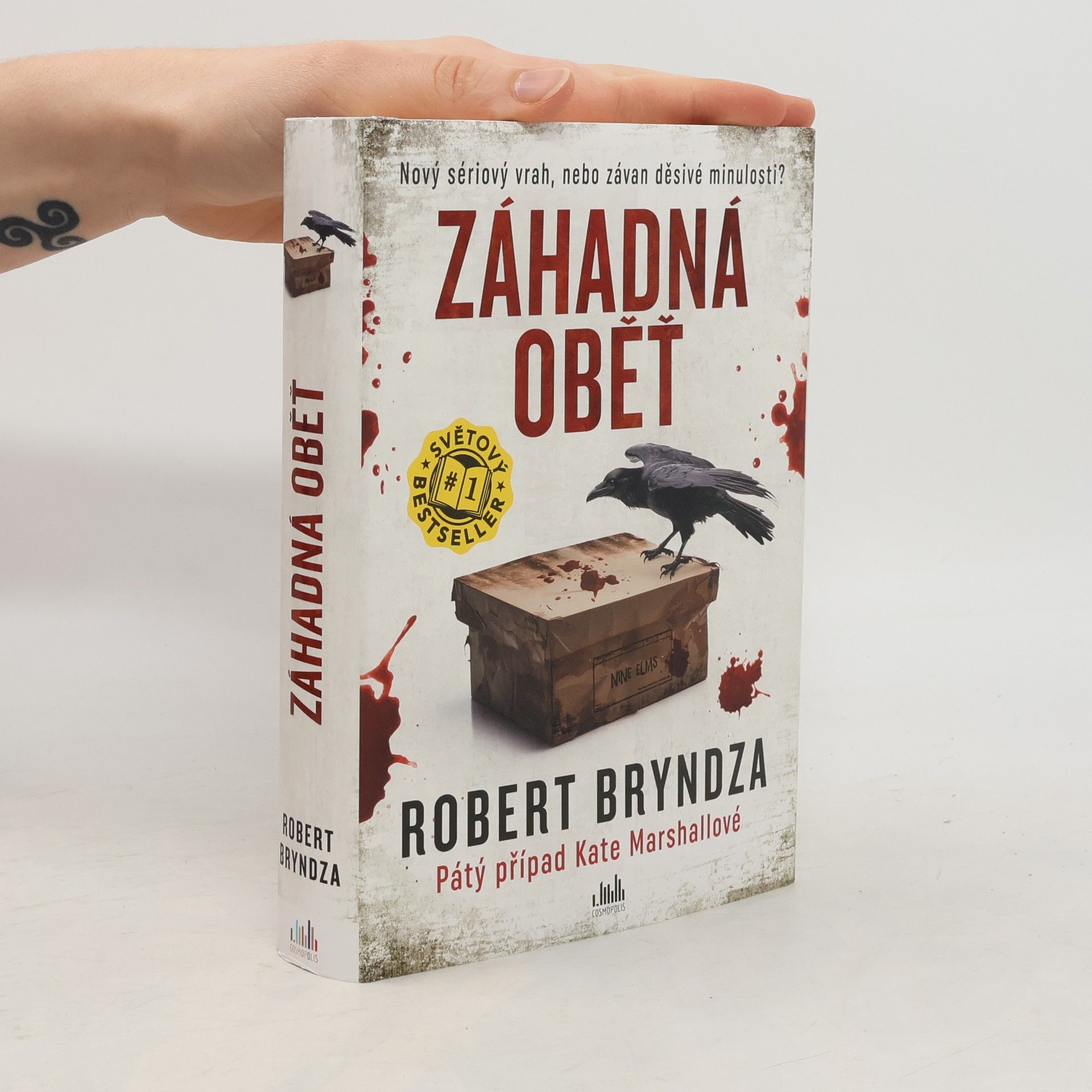 Robert Bryndza Záhadná oběť