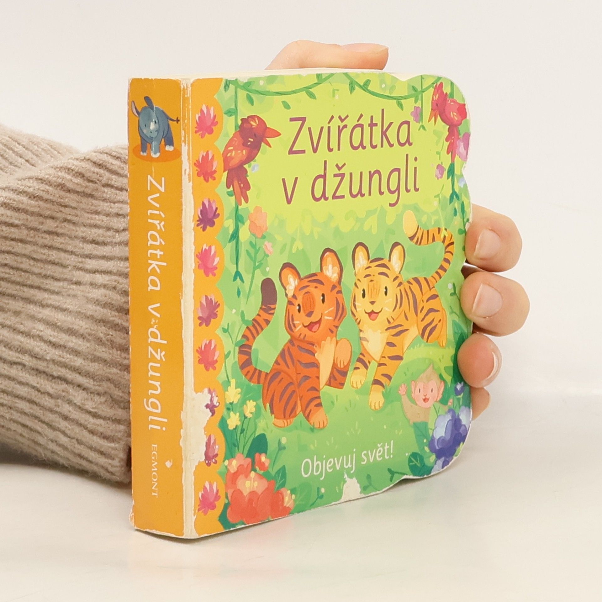 Ginger Swift Zvířátka v džungli : objevuj svět!