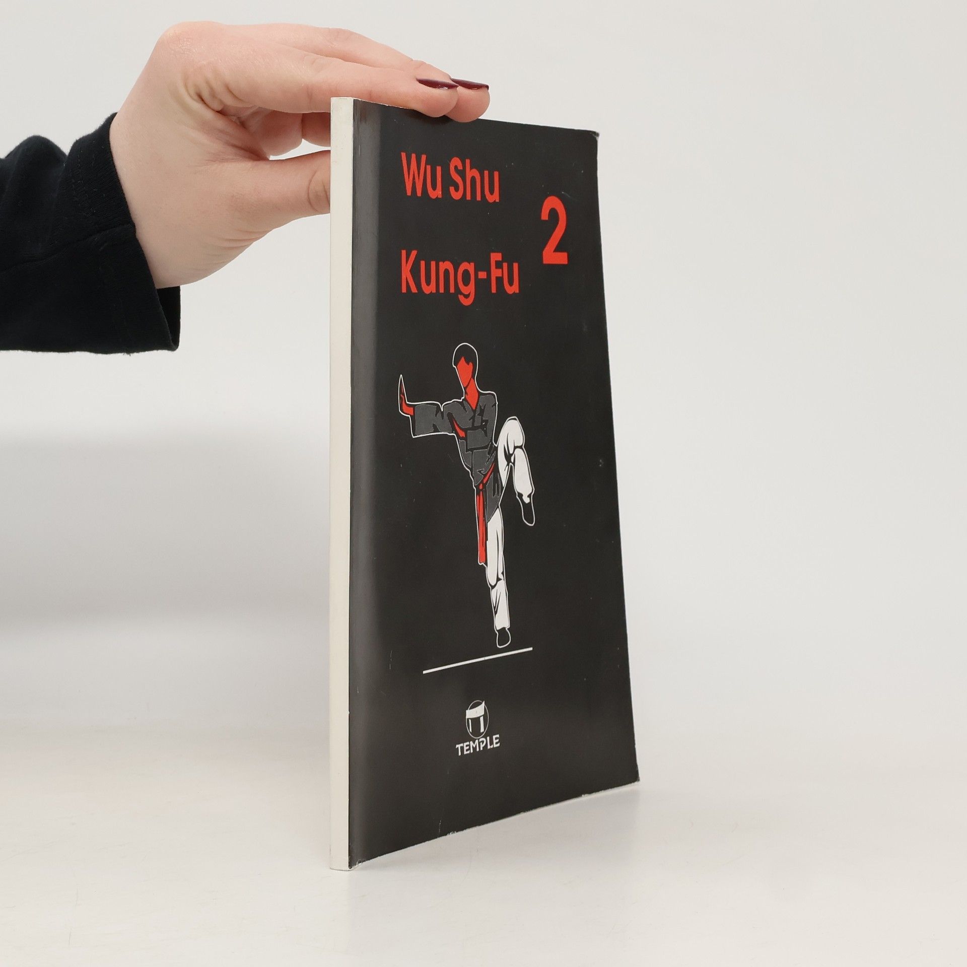 Zdeněk Kurfürst Wu Shu Kung-Fu 2