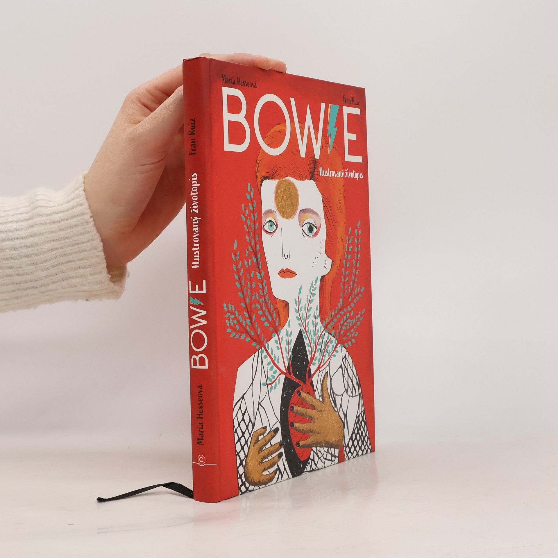 Bowie: Ilustrovaný životopis