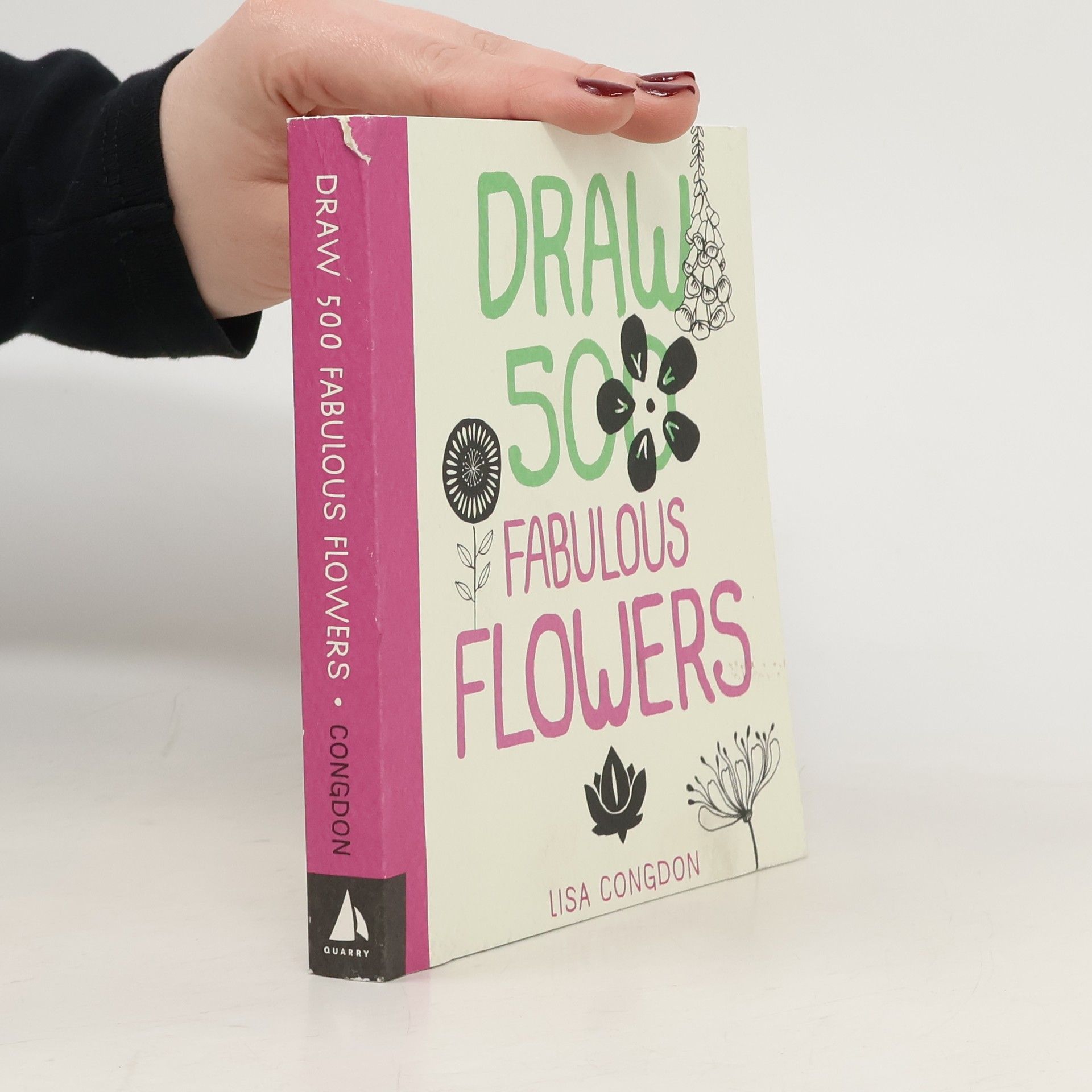 Lisa Congdon Draw 500 Fabulous Flowers