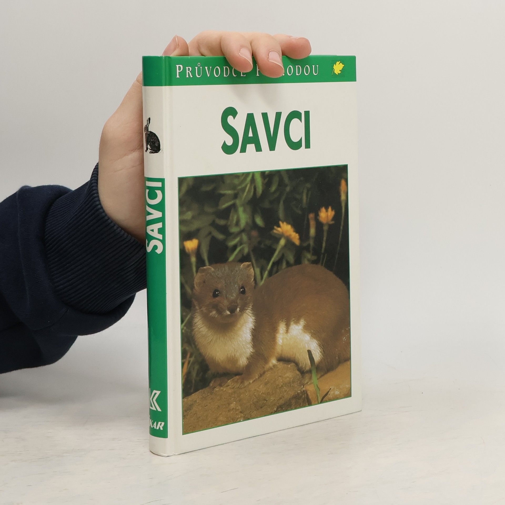 Gunter Steinbach Savci