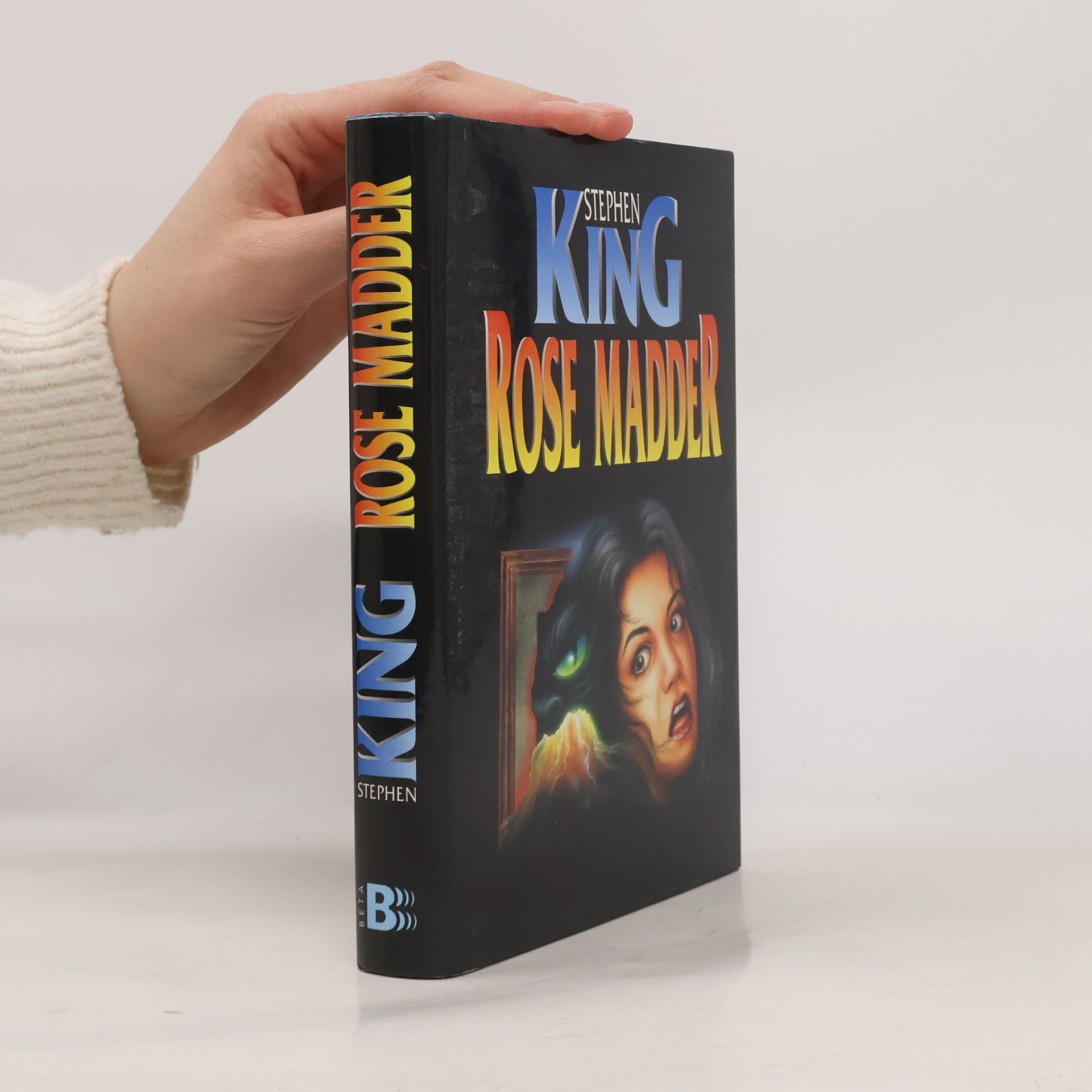 Stephen King Rose Madder