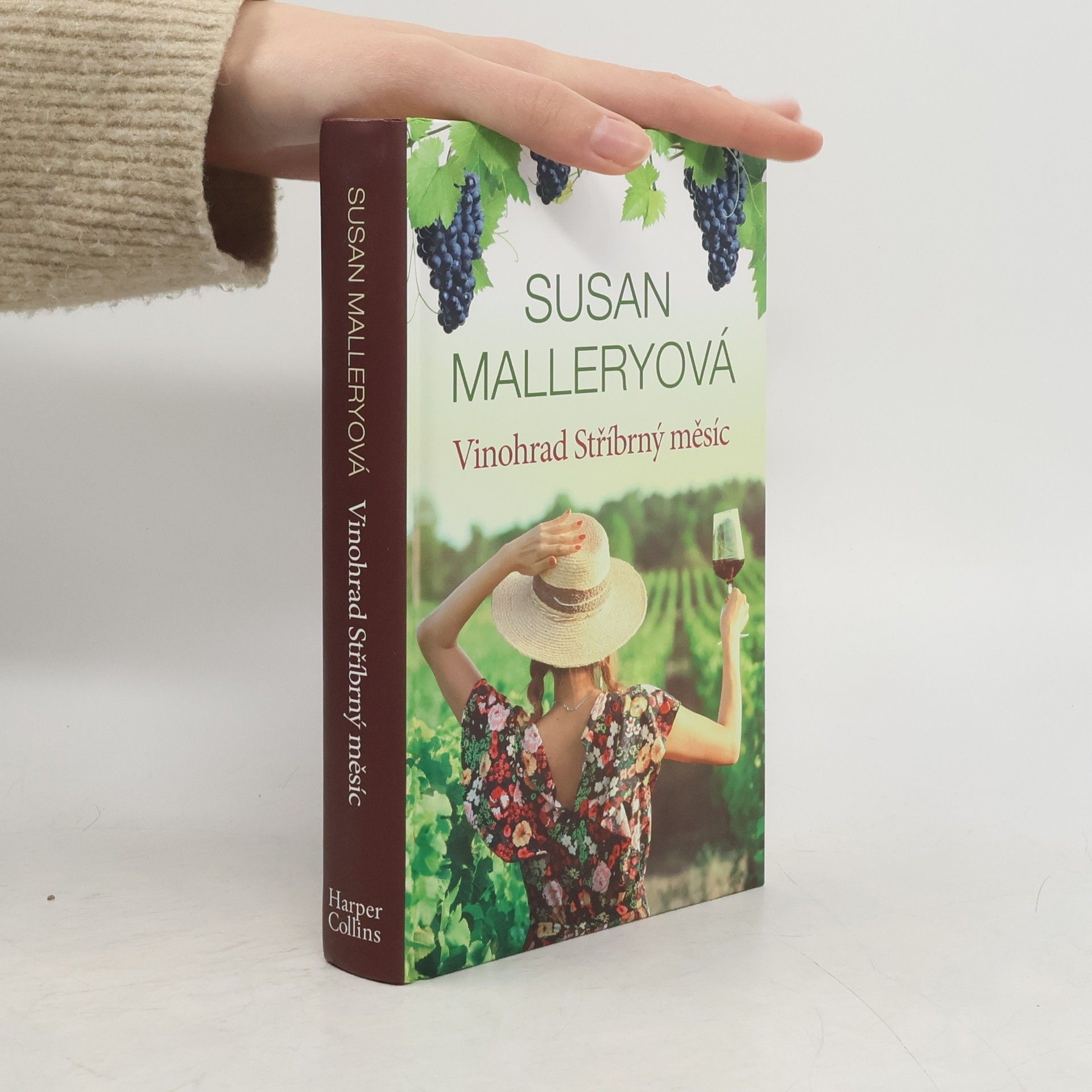 Susan Mallery Vinohrad Stříbrný měsíc