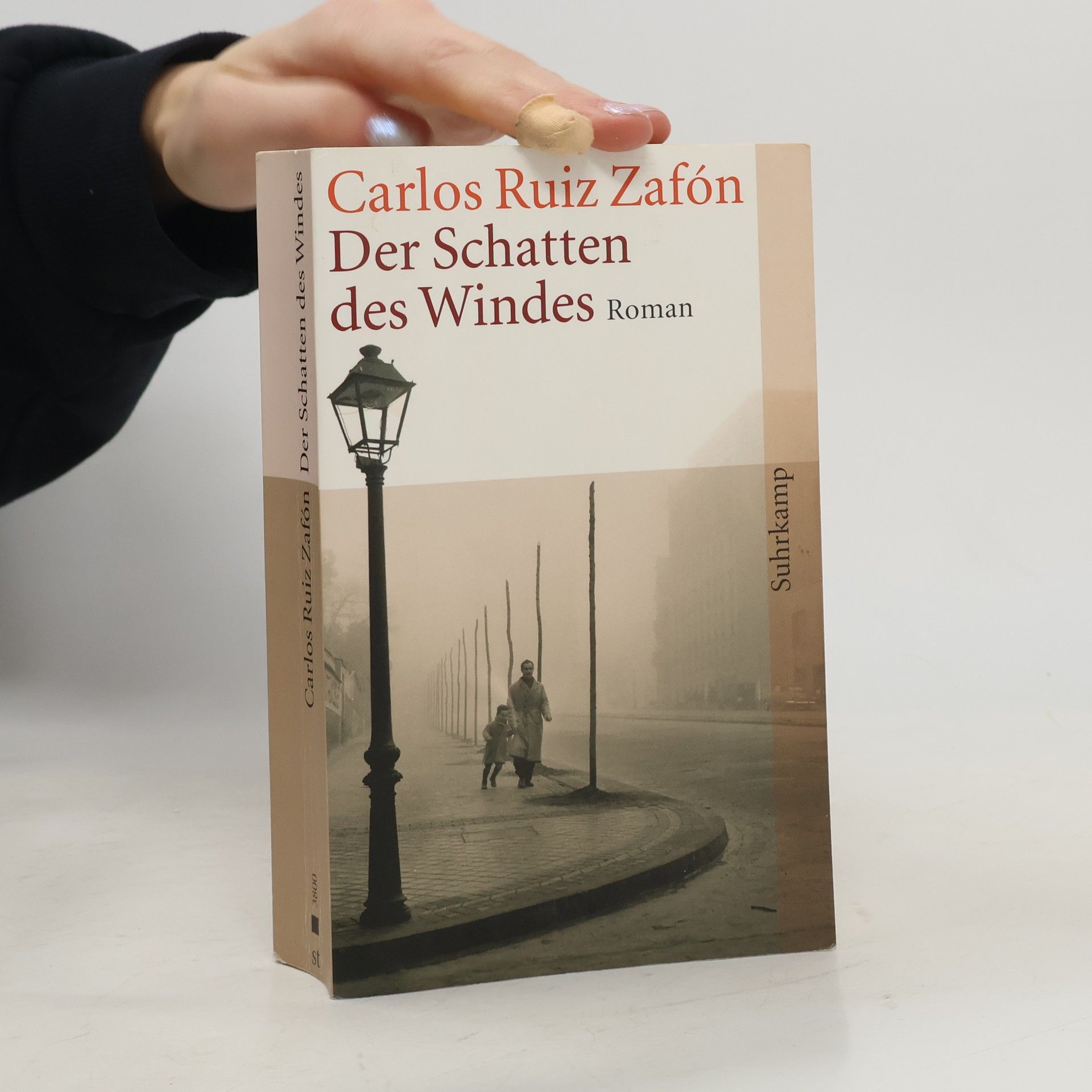 Carlos Ruiz Safon Der Schatten des Windes