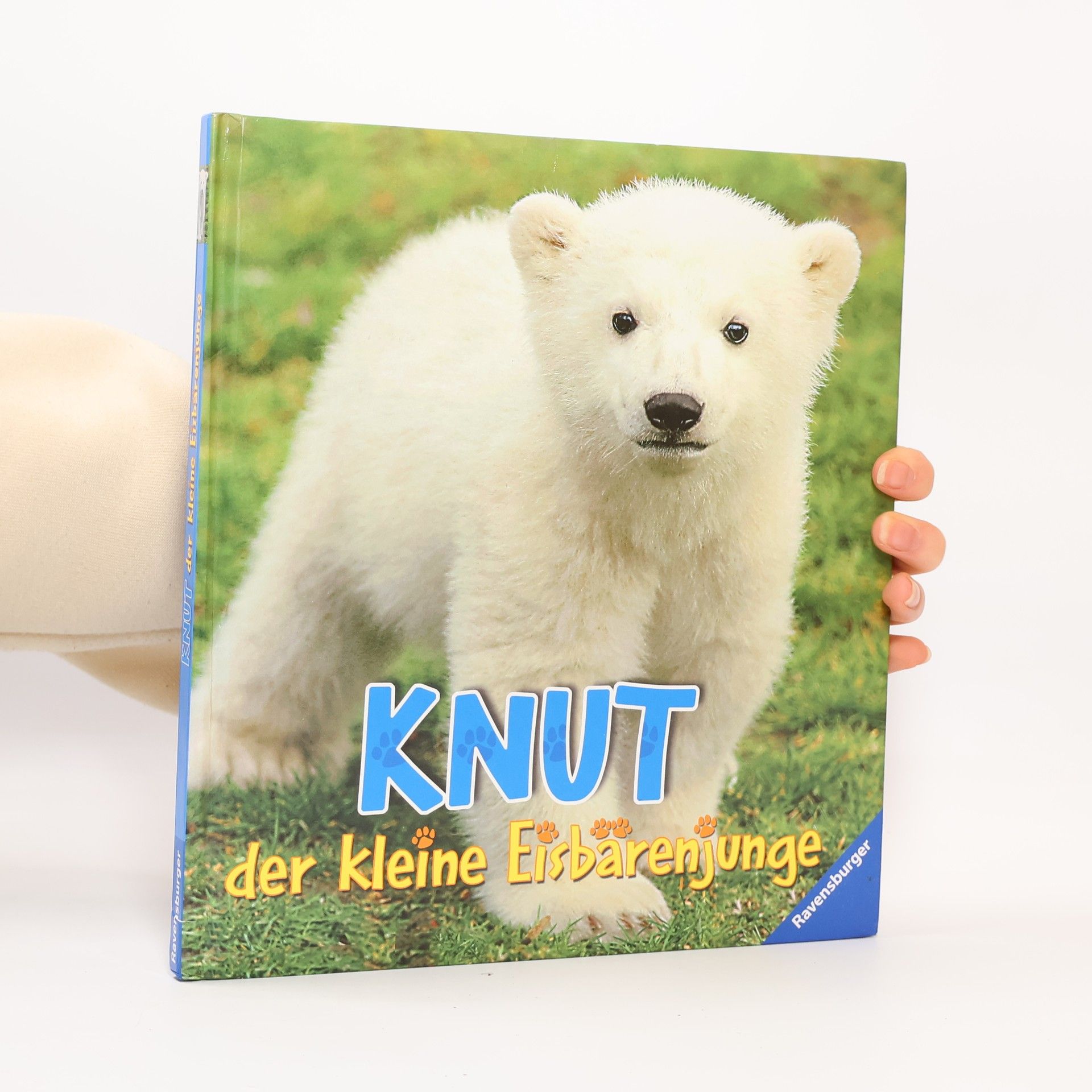 Juliana Hatkoff Knut: der kleine Eisbärenjunge