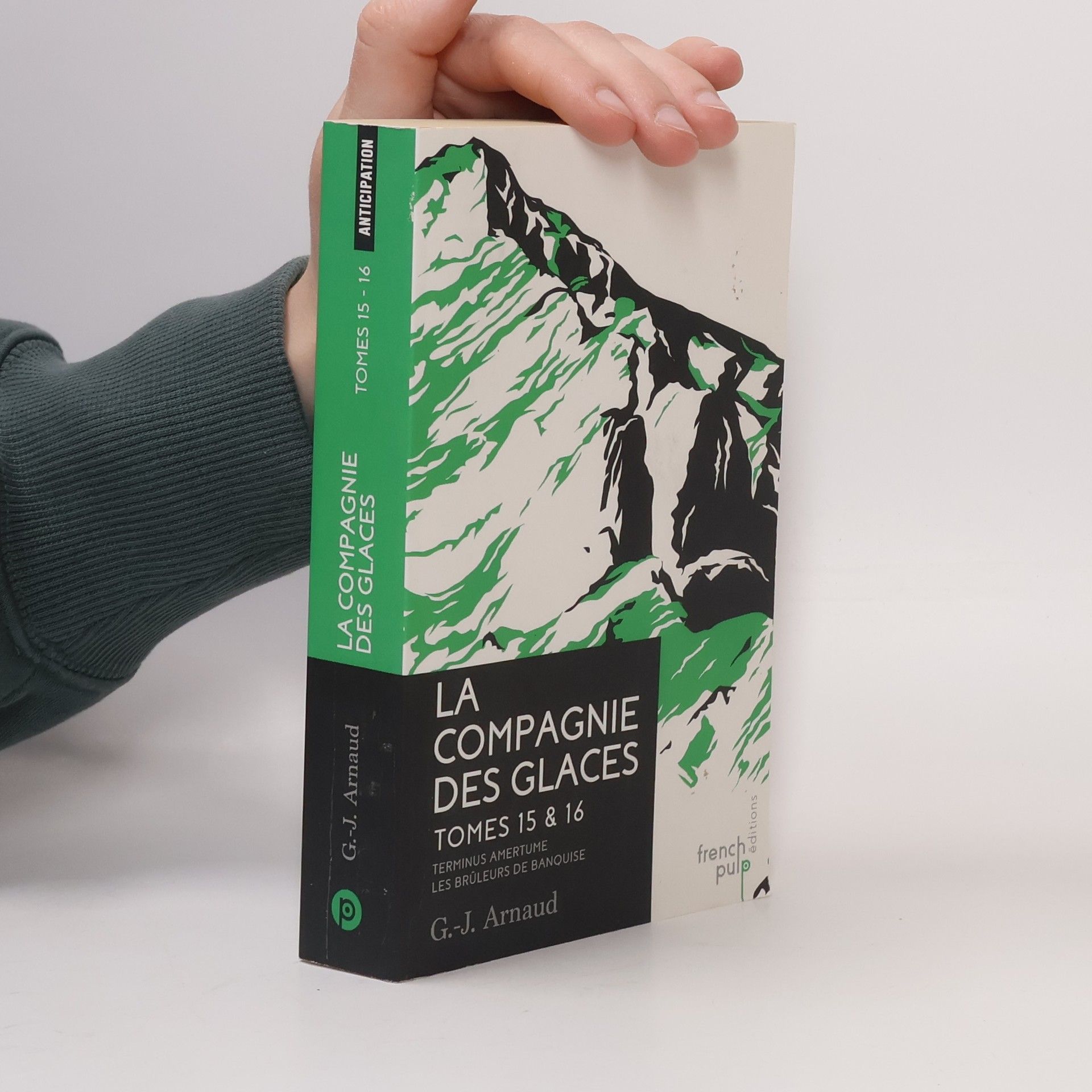 Arnaud G. J. La Compagnie des Glaces. Tomes 15 & 16