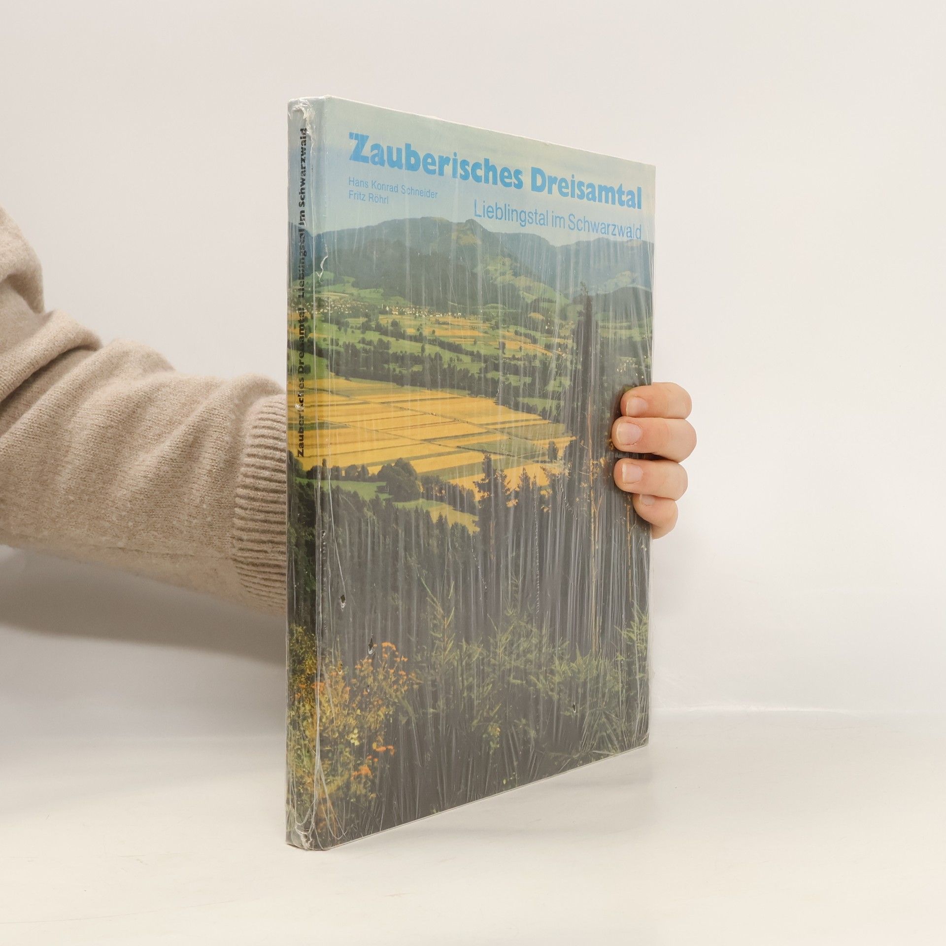 Hans Konrad Schneider Zauberisches Dreisamtal