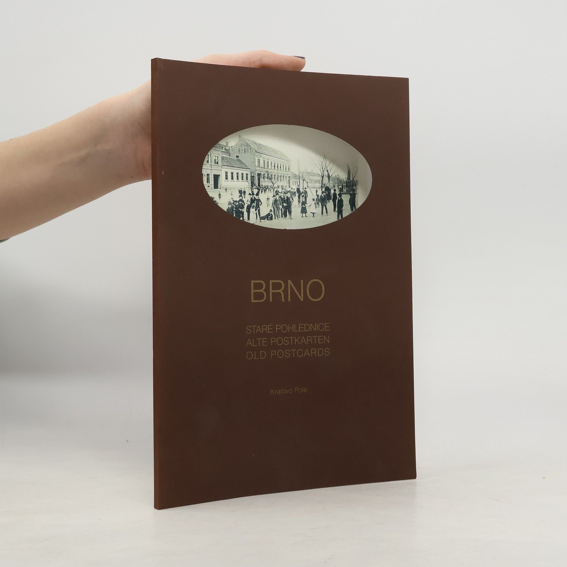 Collectif d'auteurs Brno - Staré pohlednice / Alte Postkarten / Old Postcards