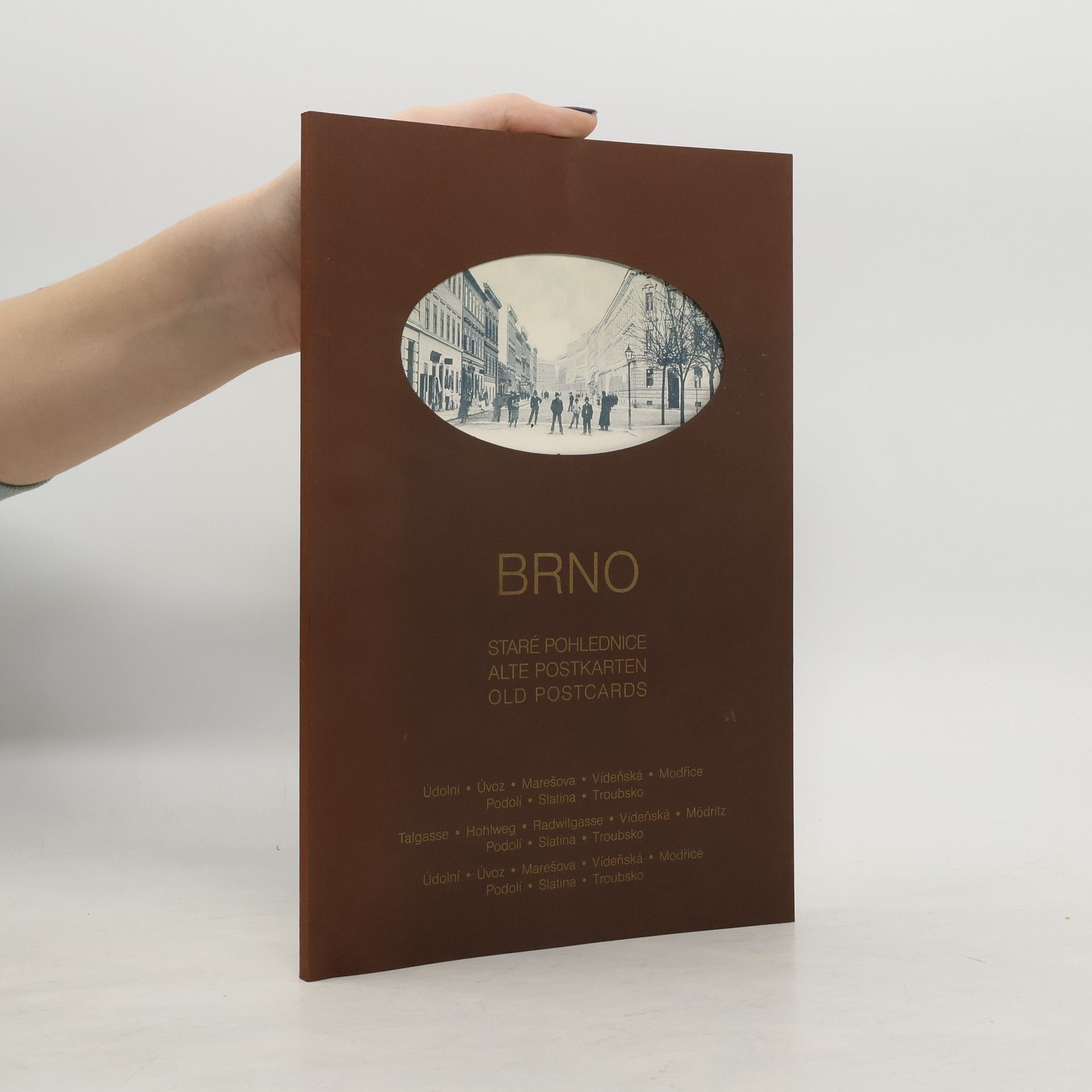 Kolektiv autorů Brno - Staré pohlednice / Alte Postkarten / Old Postcards