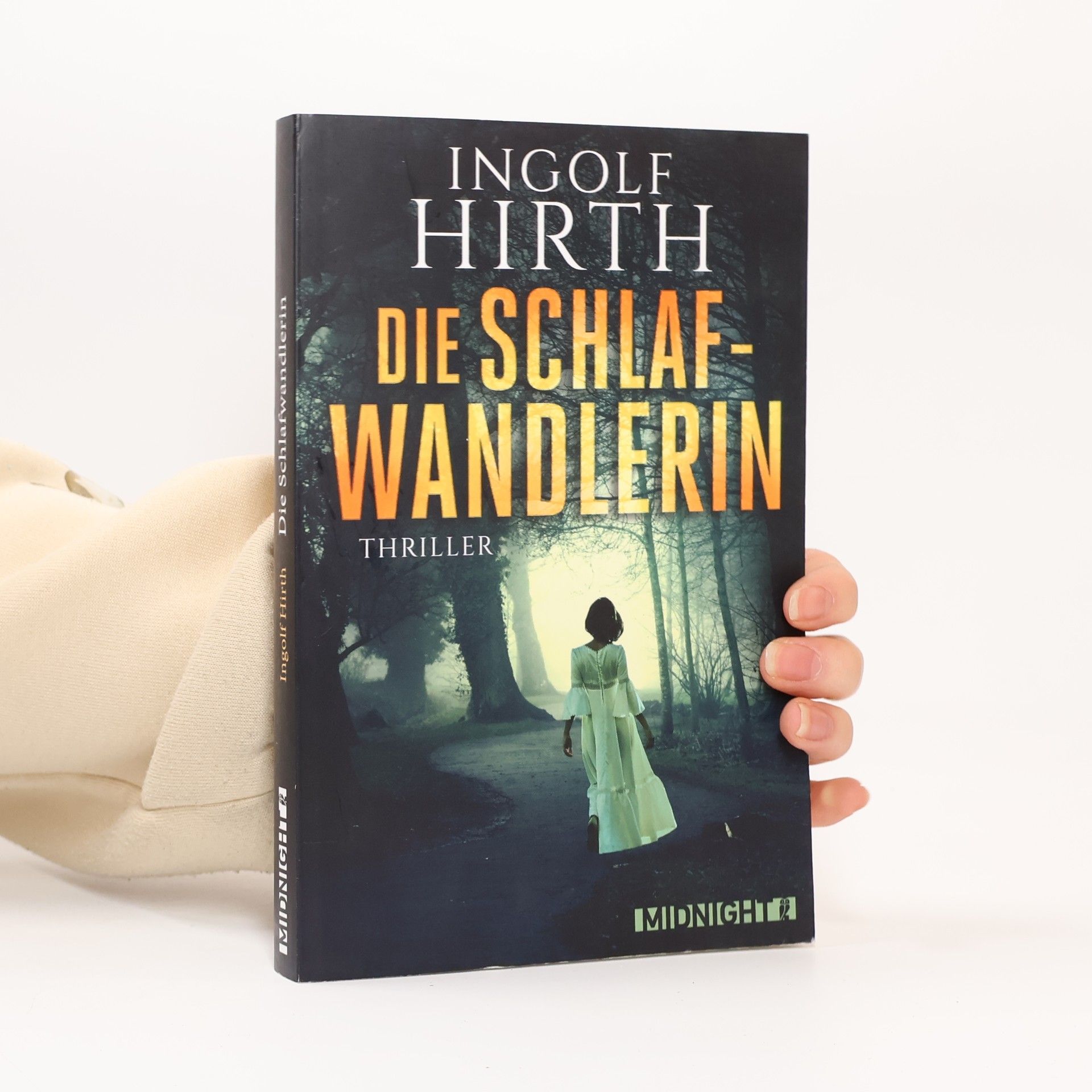 Ingolf Hirth Die Schlafwandlerin