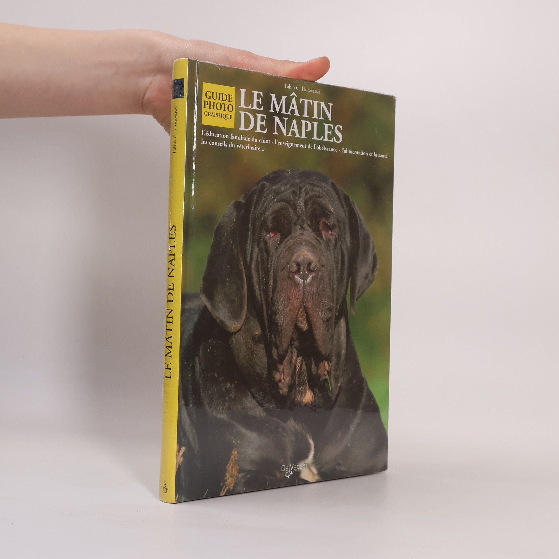 Fabio C. Fioravanzi Le Mâtin de Naples