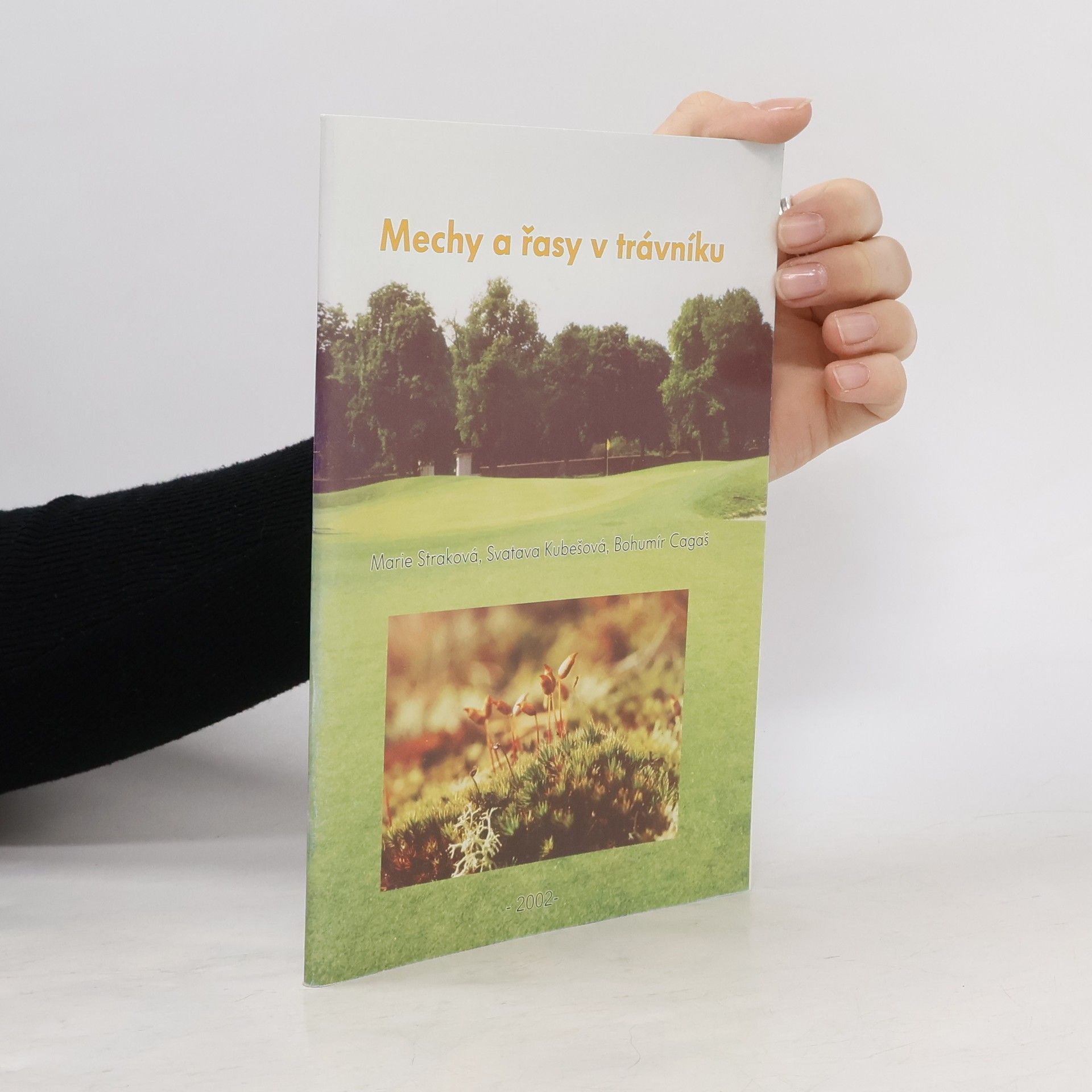 Mechy a řasy v trávníku