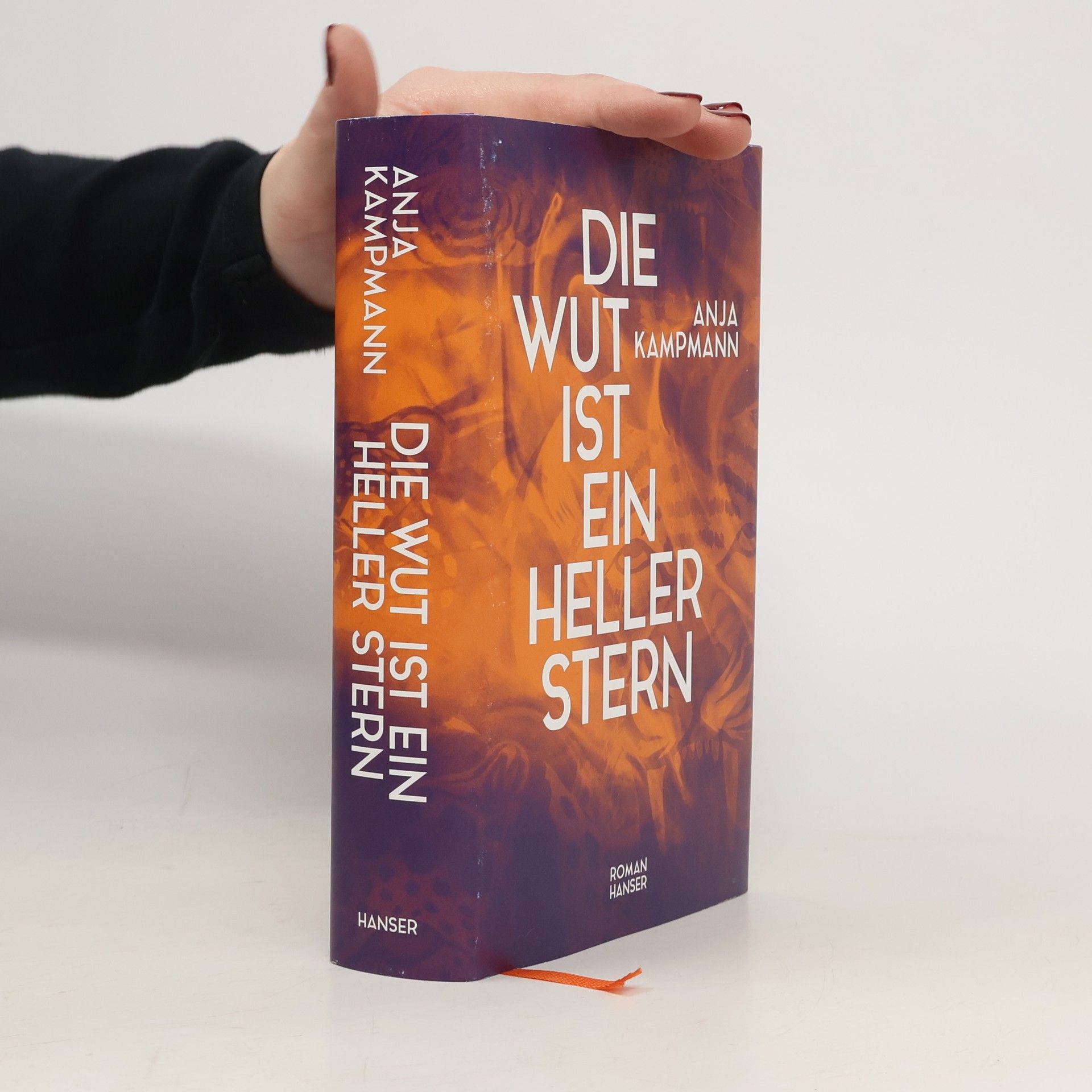 Anja Kampmann Die Wut ist ein heller Stern