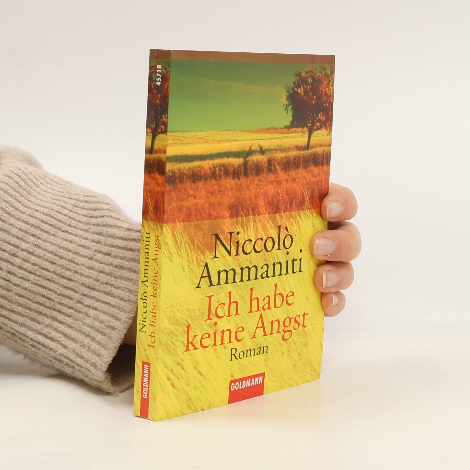 Niccolò Ammaniti Ich habe keine Angst