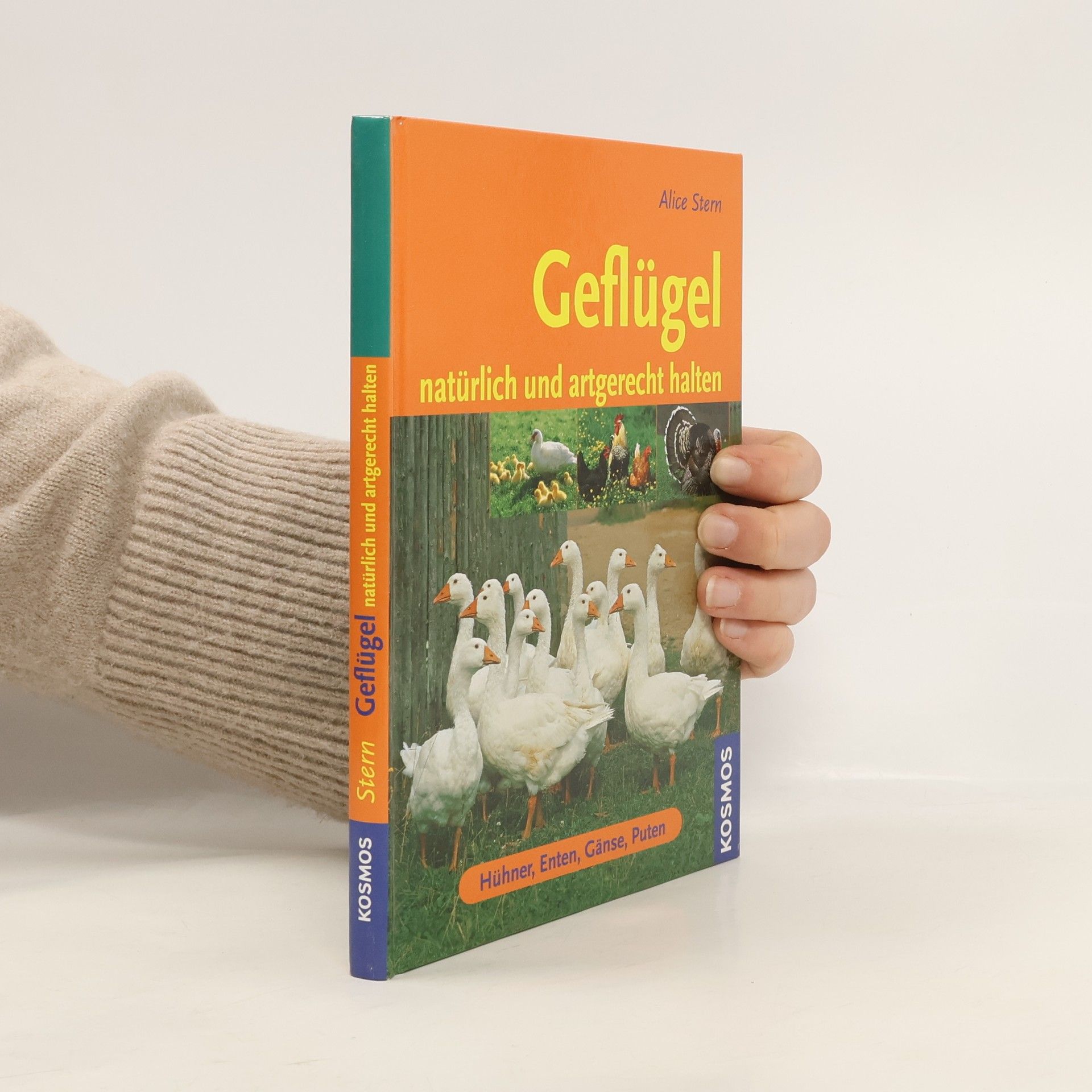 Alice Stern-Les Landes Geflügel