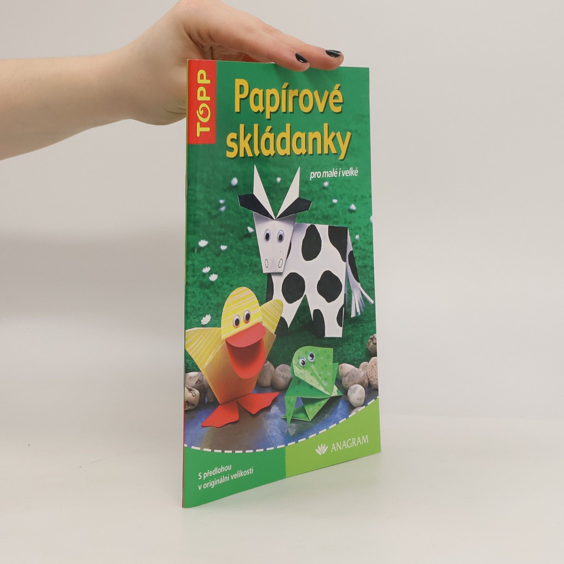 Daniel Täubner Papírové skládanky pro malé i velké