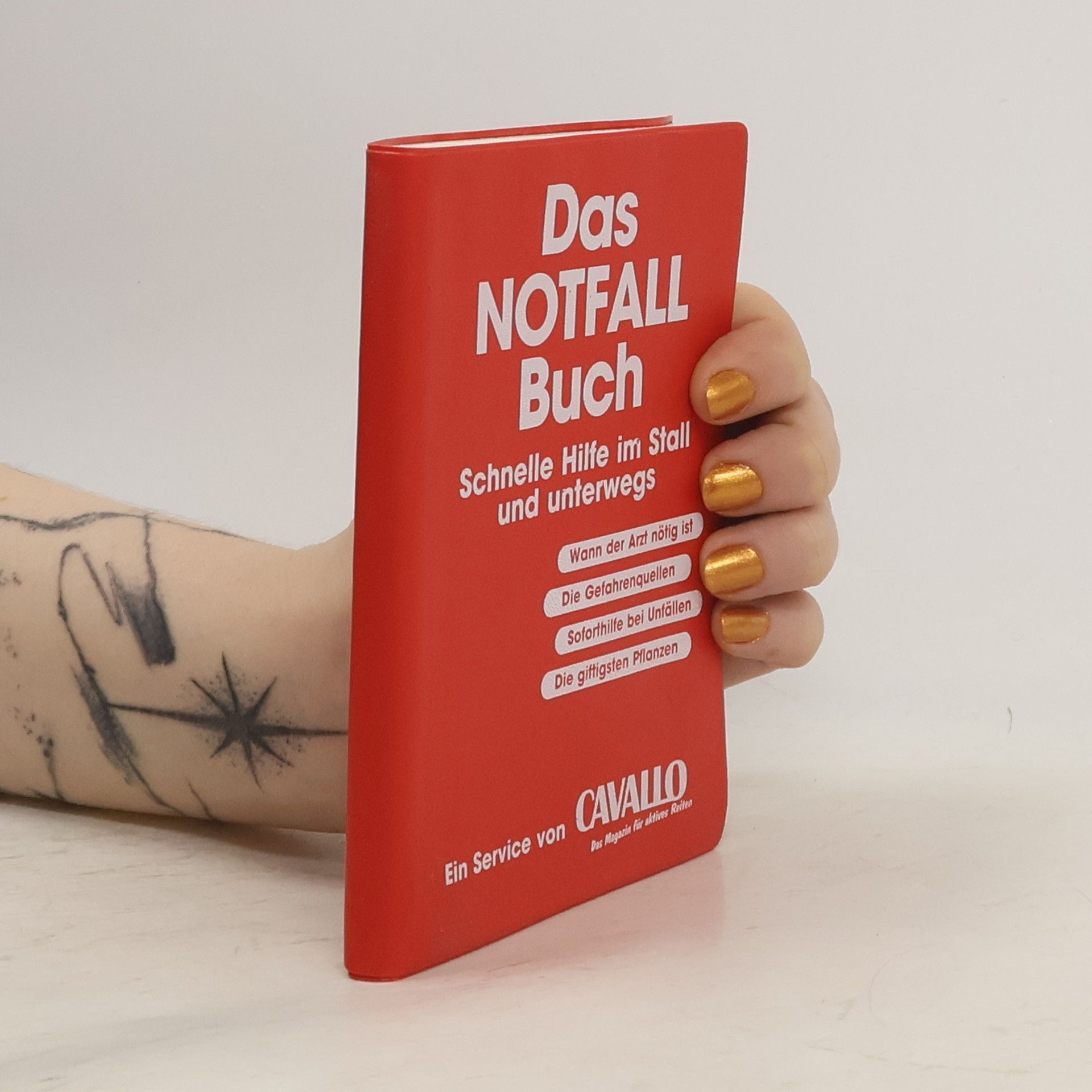 Kolektiv autorů Das Notfall Buch