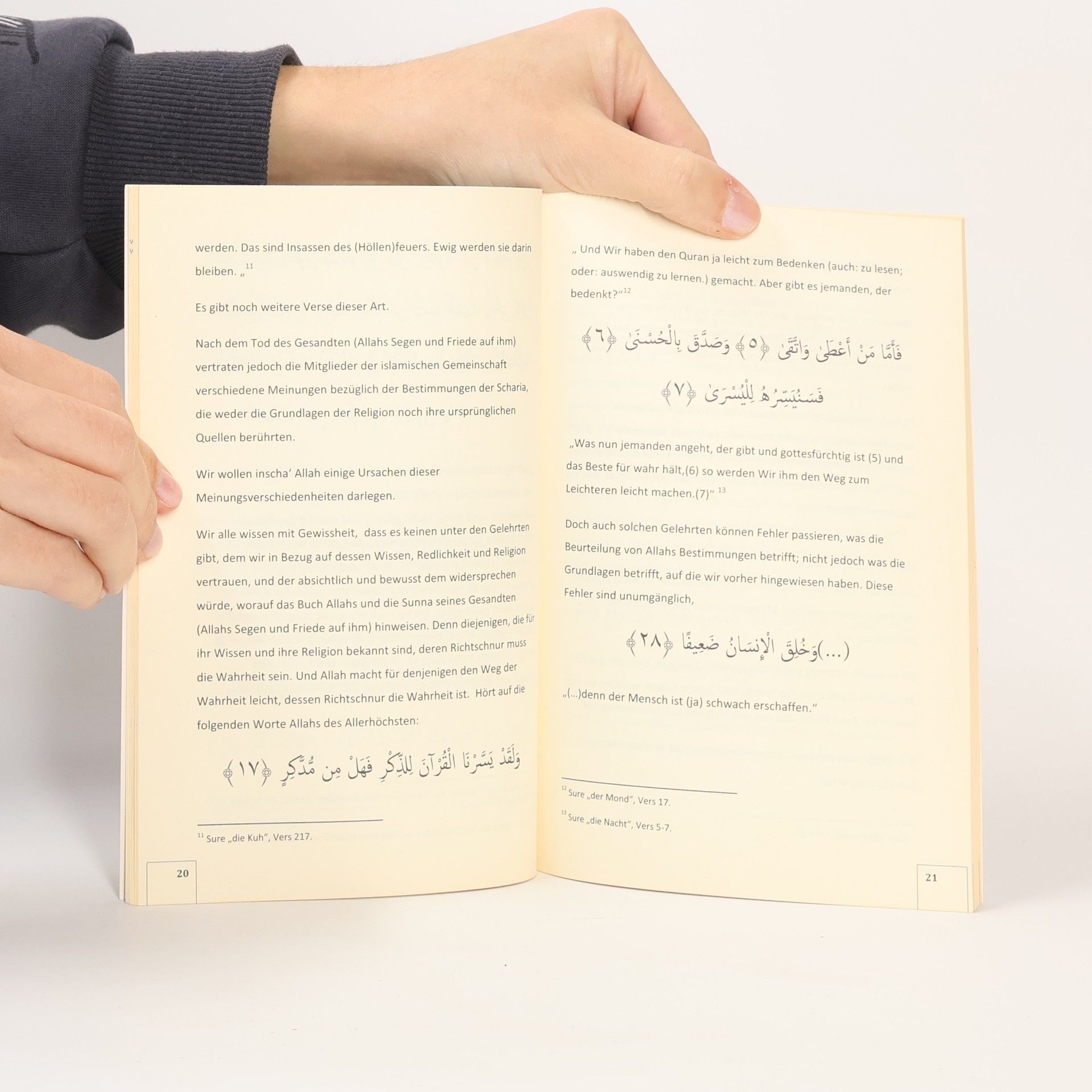 Feyzullah Birischik Der Teufel wird über dieses Buch sehr wütend sein