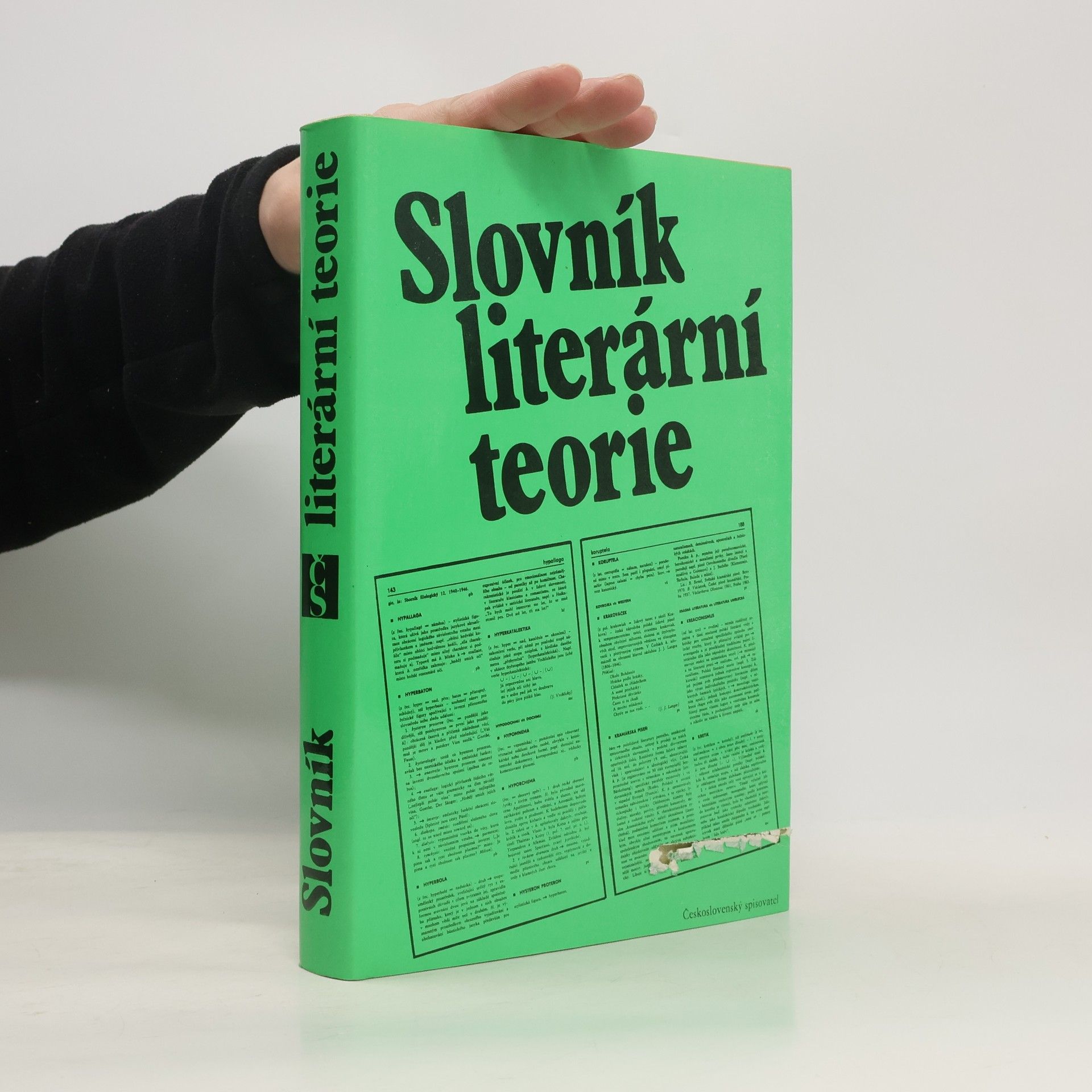 Štěpán Vlašín Slovník literární teorie