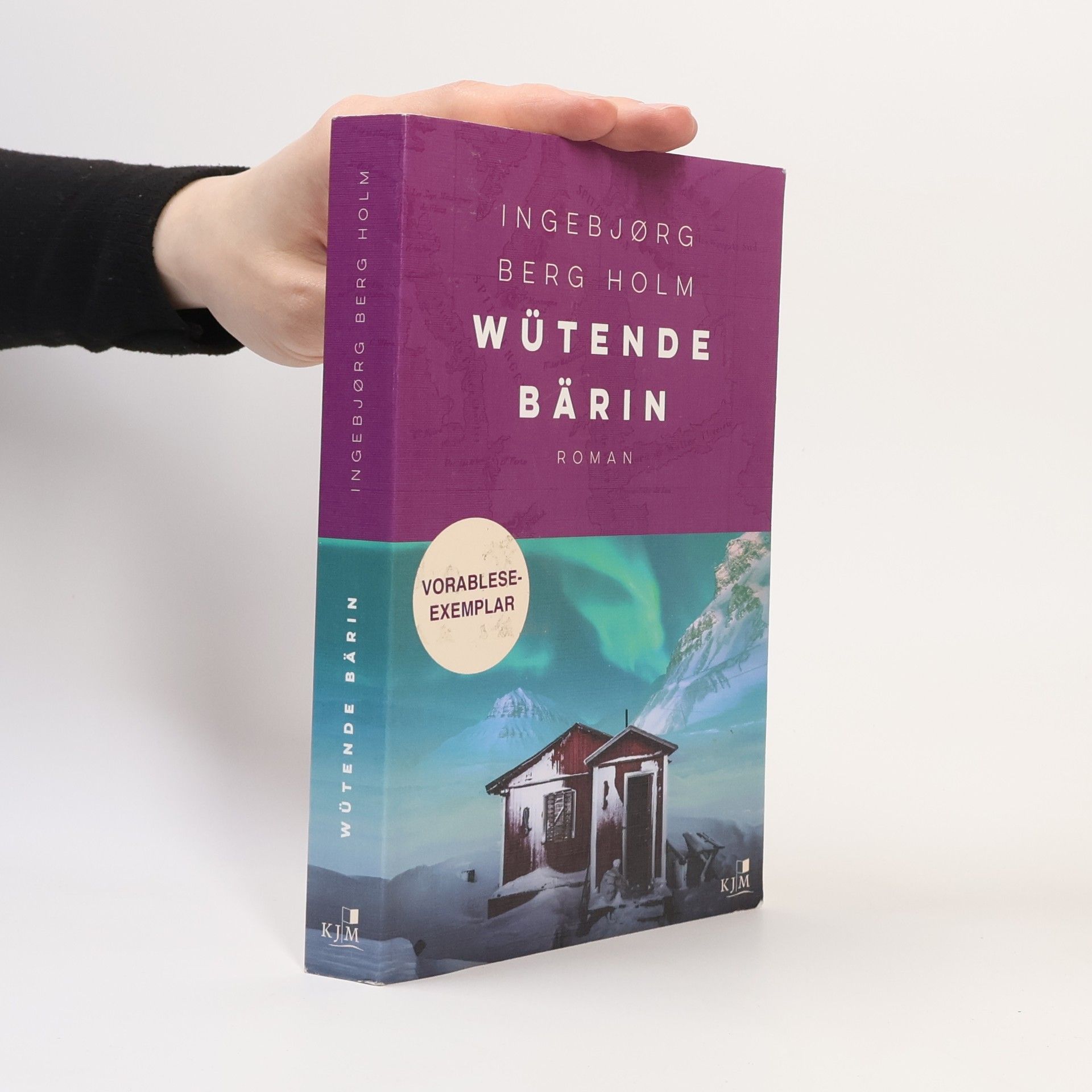 Ingebjørg Berg Holm Wütende Bärin