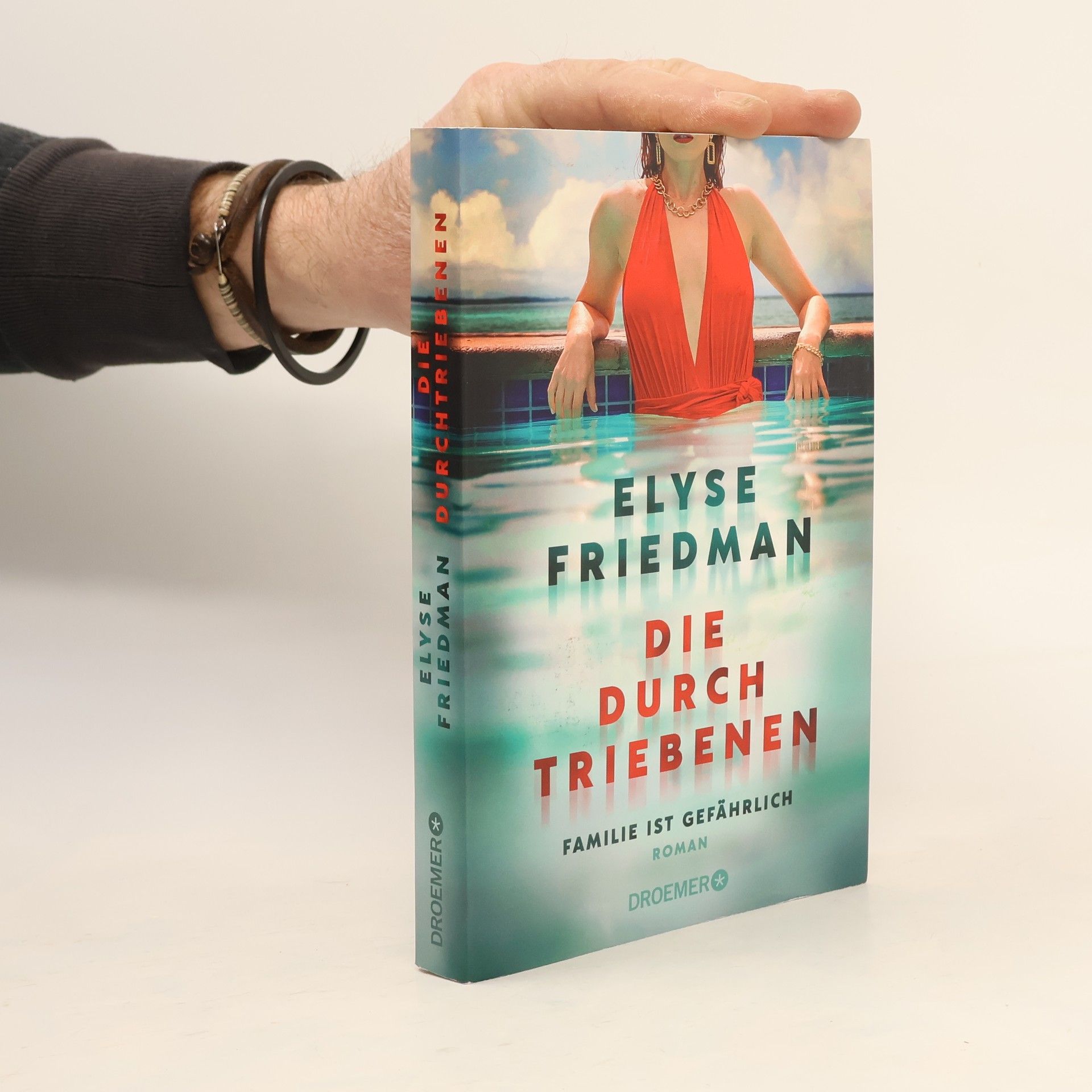 Elyse Friedman Die Durchtriebenen. Familie ist gefährlich. Roman | Bitter-böser Familien-Thriller aus Kanada