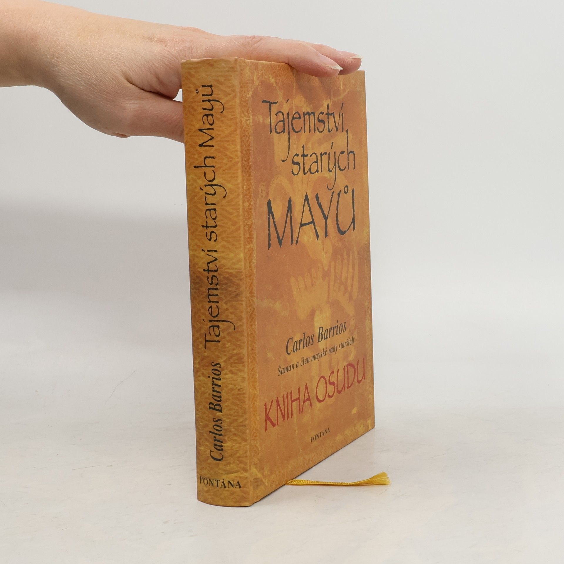 Carlos Barrios Tajemství starých Mayů