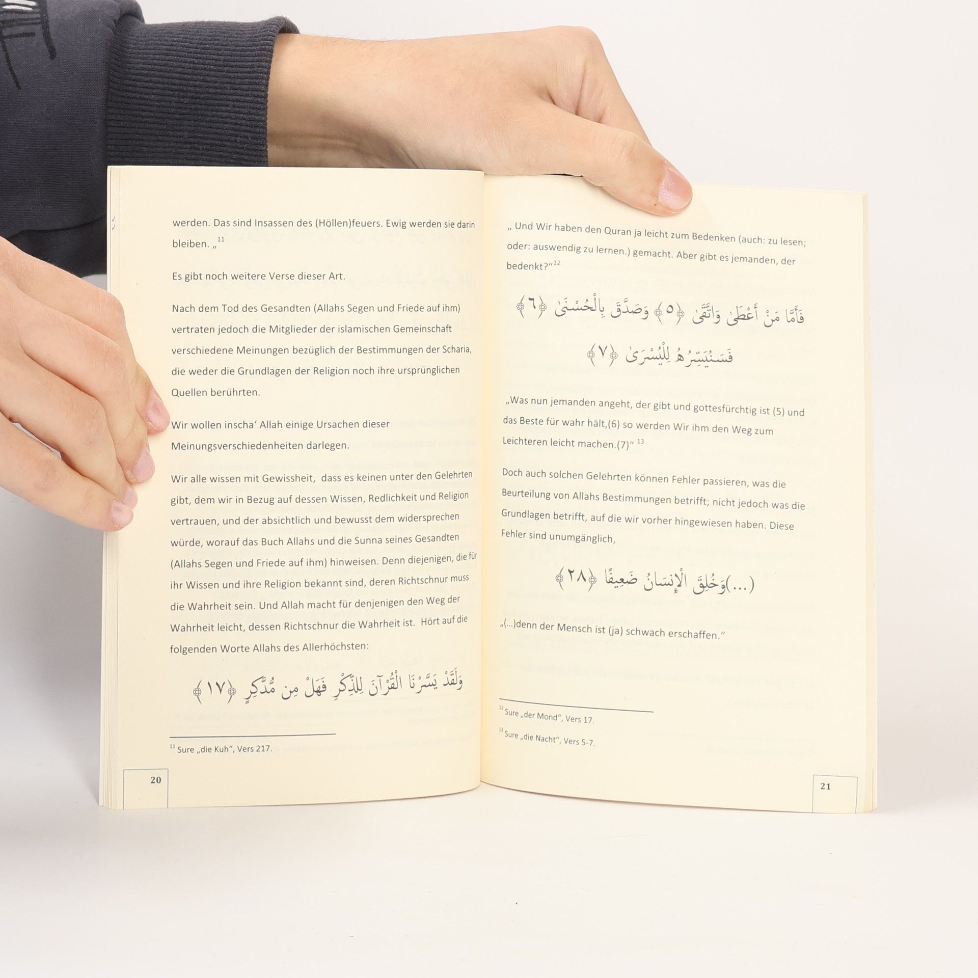 Feyzullah Birischik Der Teufel wird über dieses Buch sehr wütend sein