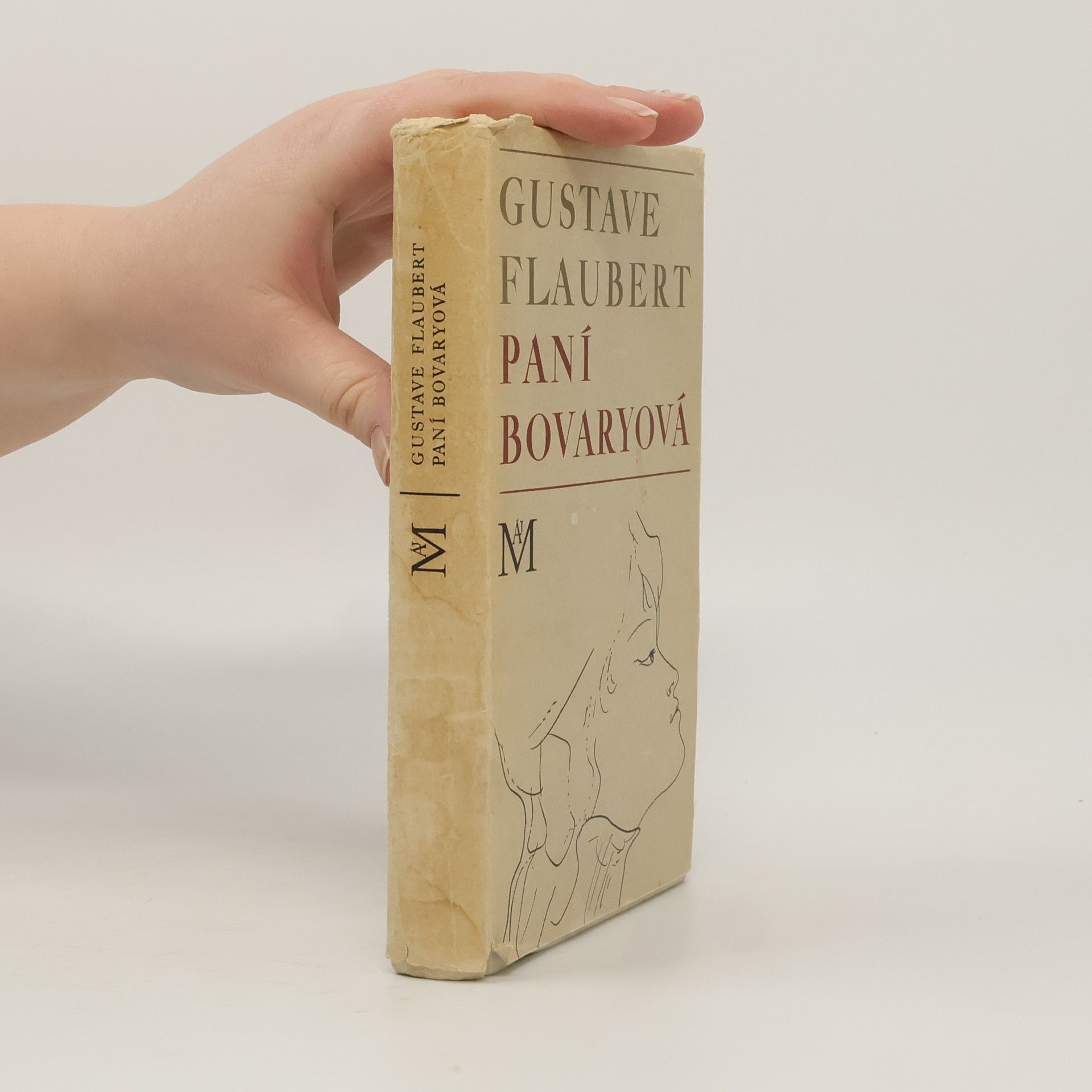 Paní Bovaryová