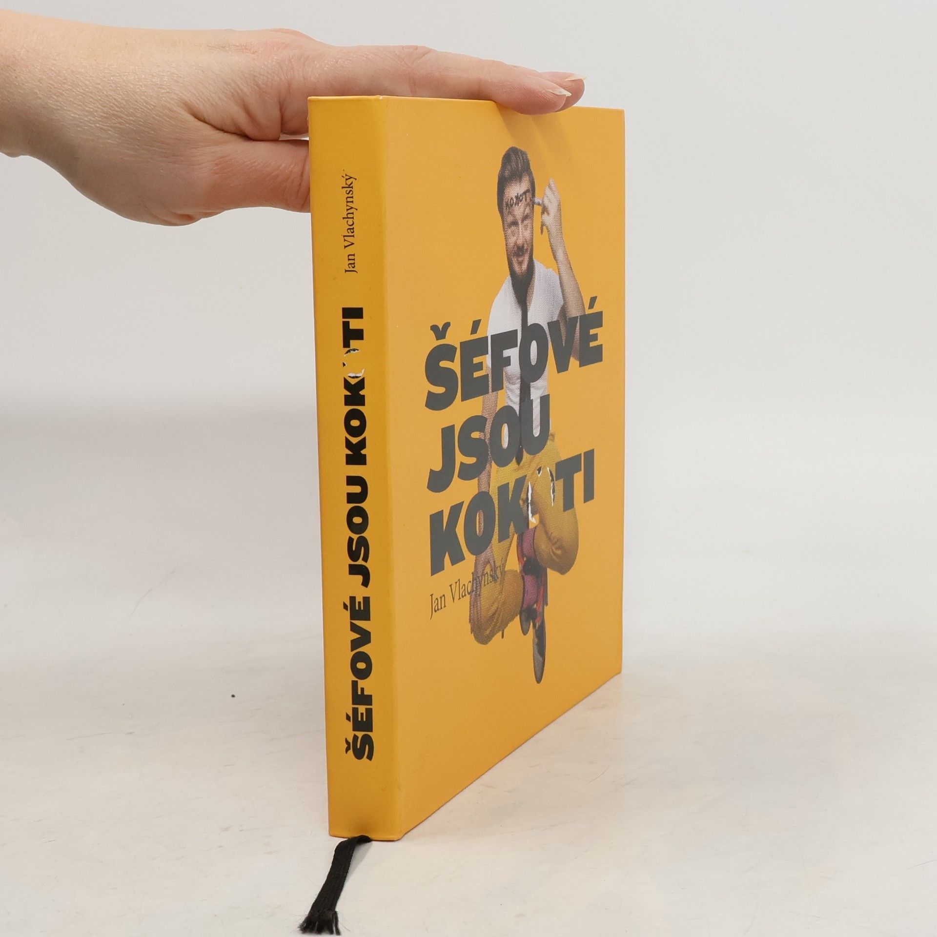 Jan Vlachynský Šéfové jsou kokoti