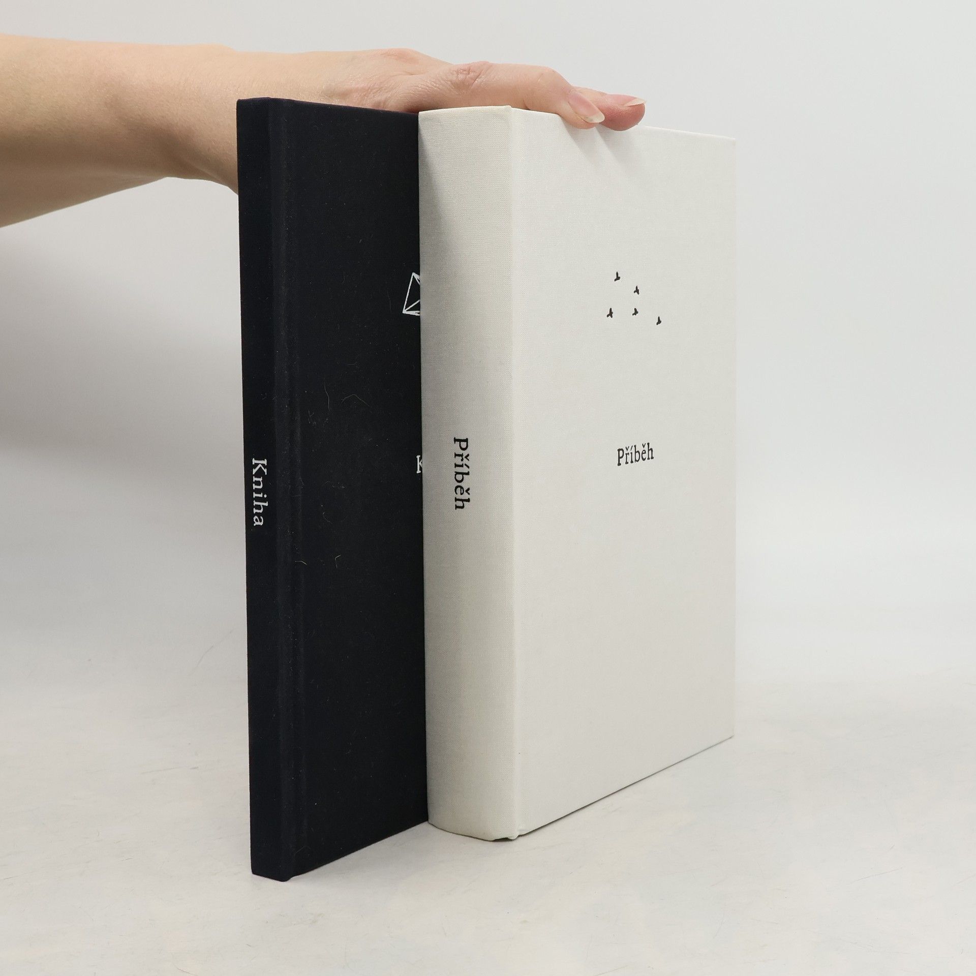 Filip Doušek Hejno bez ptáků