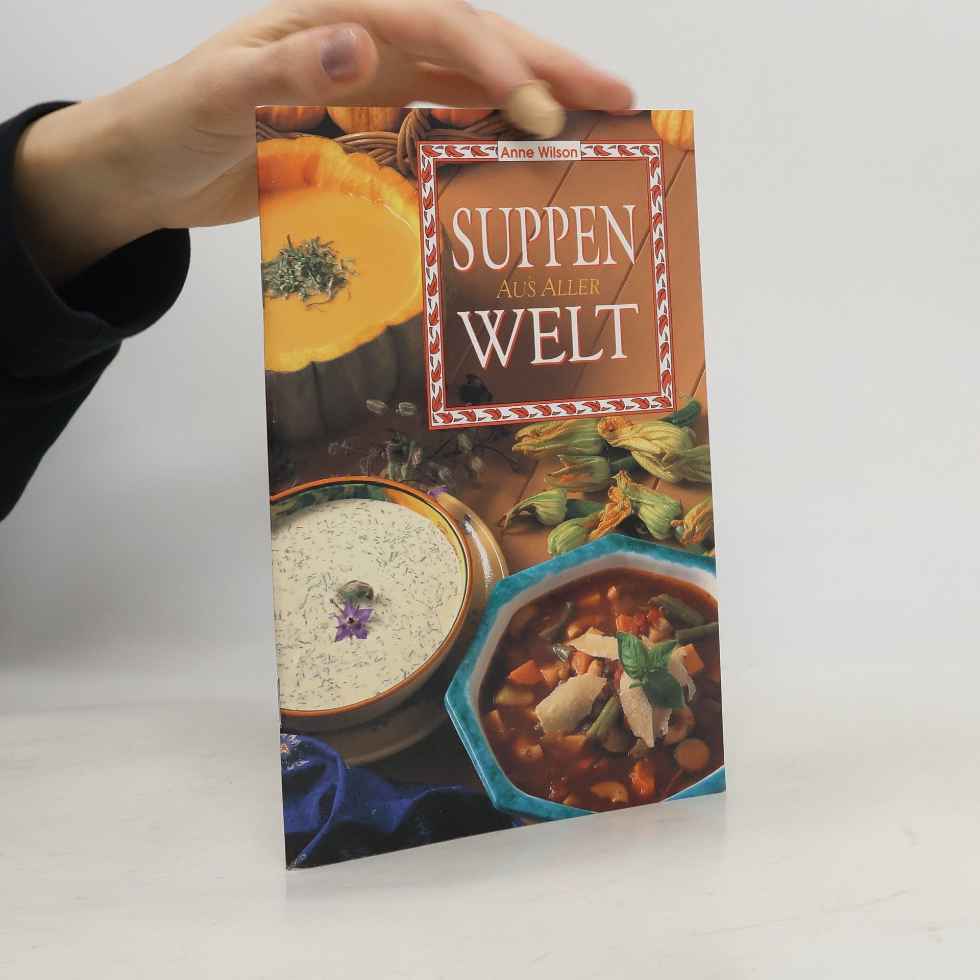 Anne Wilson Suppen aus aller Welt
