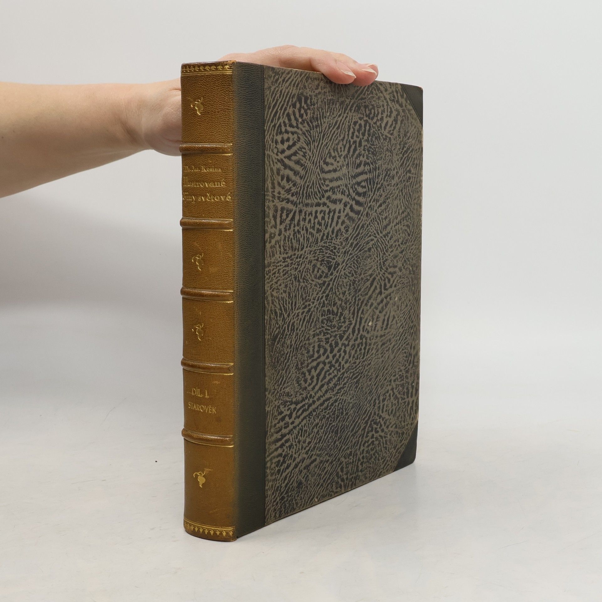 Jaroslav Kosina Ilustrované dějiny světové. Díl I. Starověk