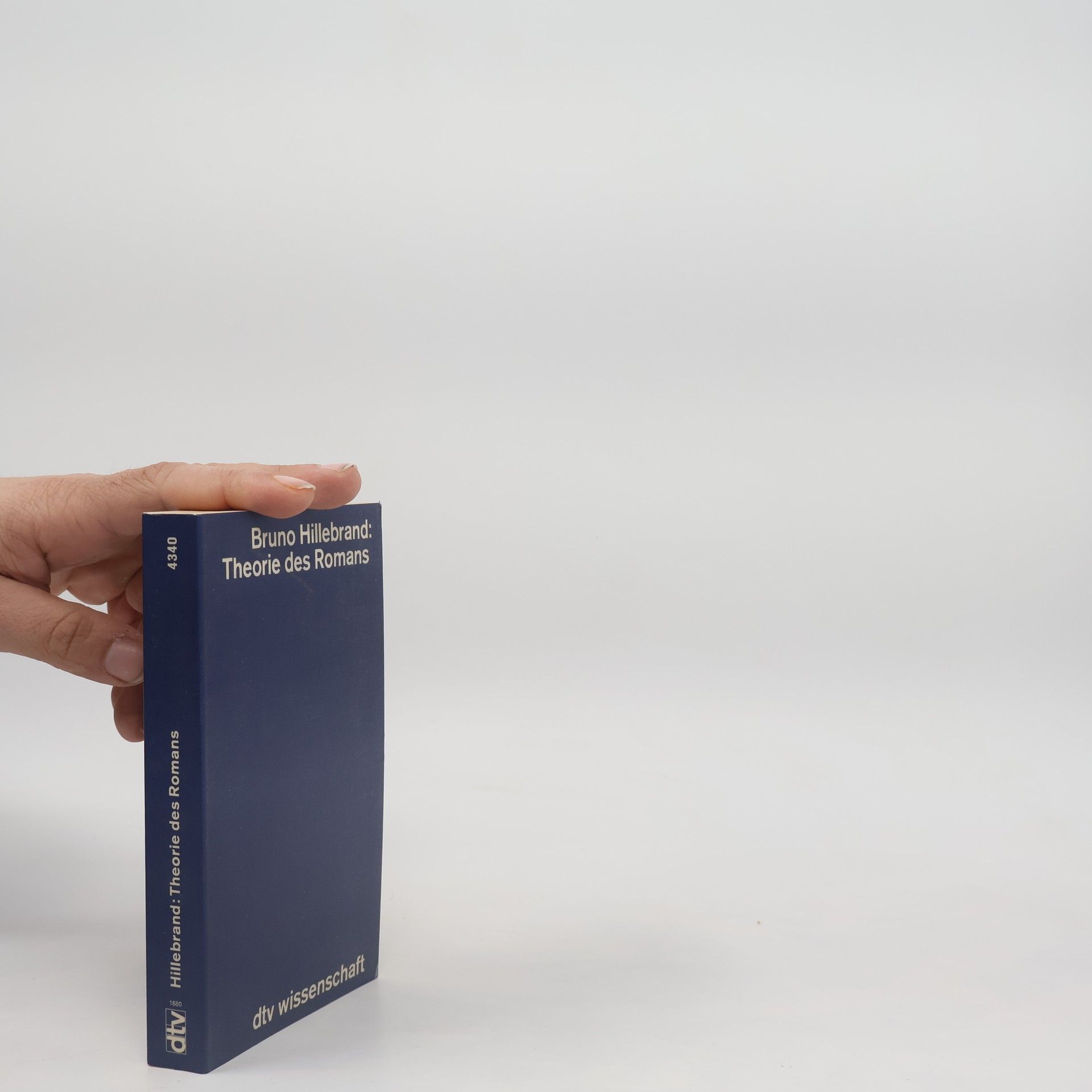 Bruno Hillebrand Theorie des Romans