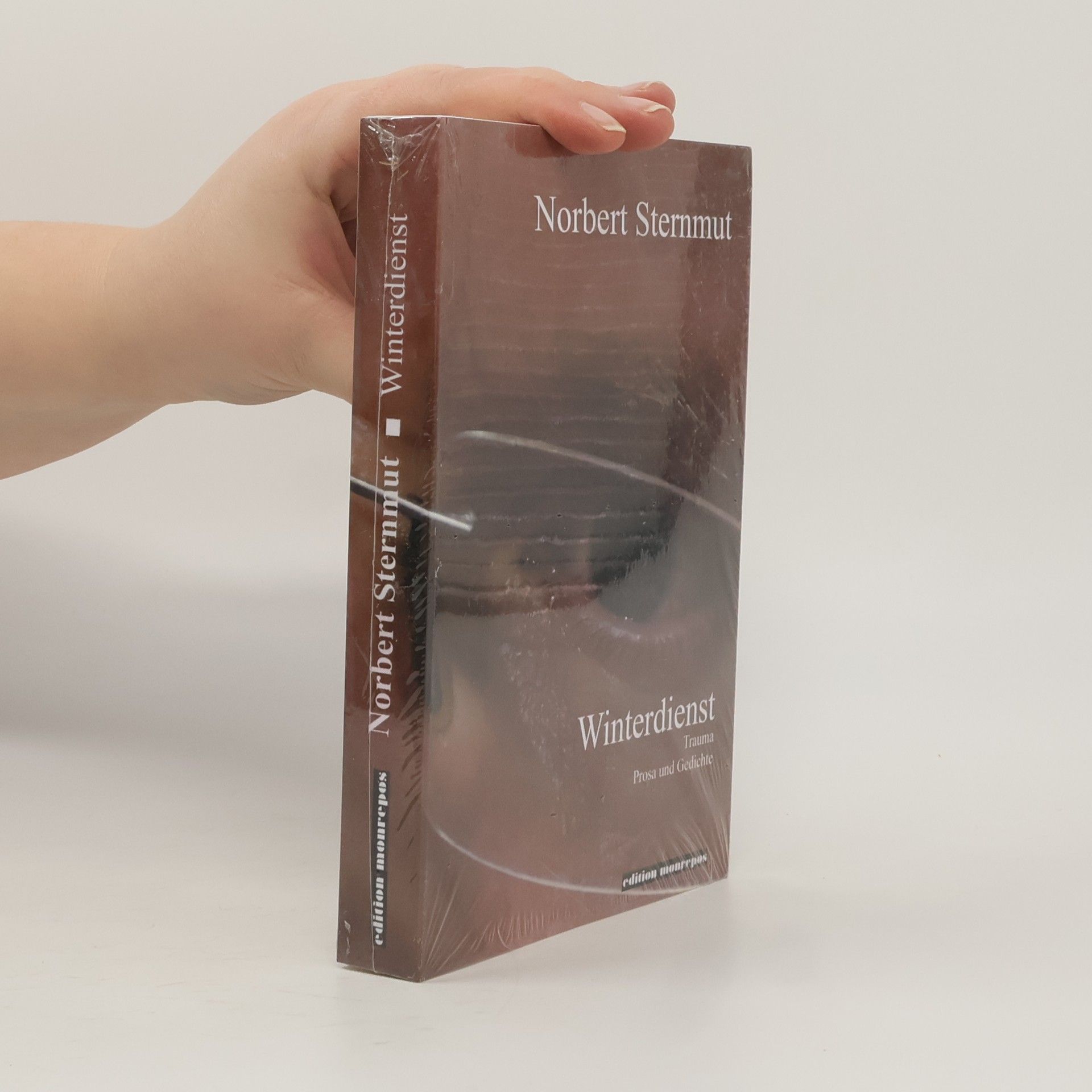 Norbert Sternmut Winterdienst. Trauma. Prosa und Gedichte