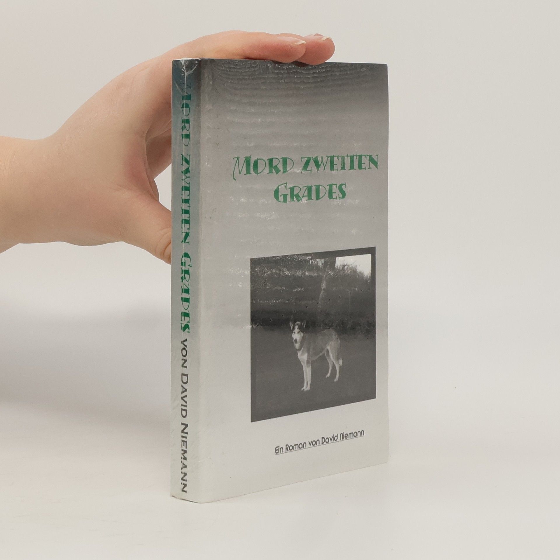 David Niemann Mord zweiten Grades